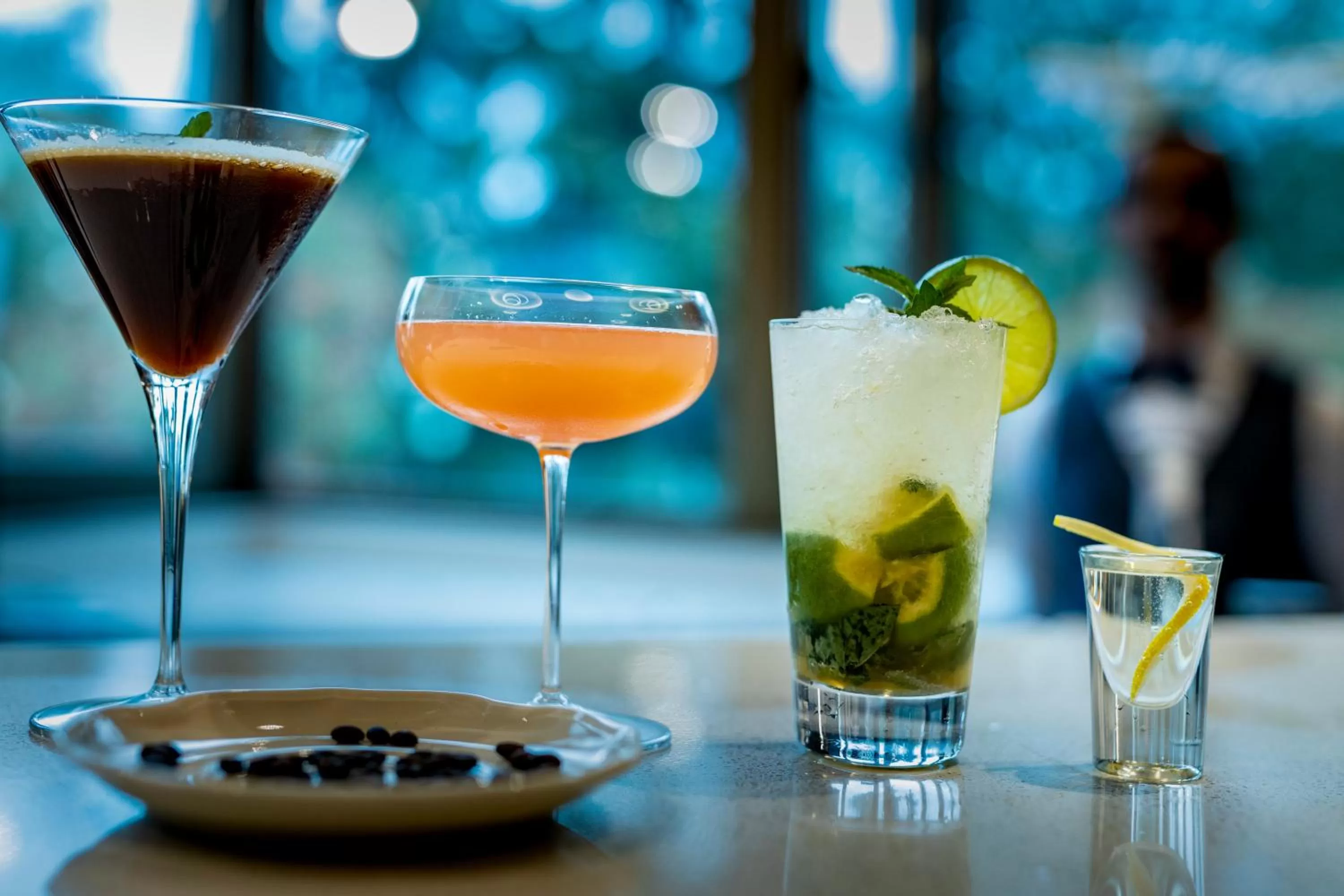 Alcoholic drinks in Hotel Bulgaria