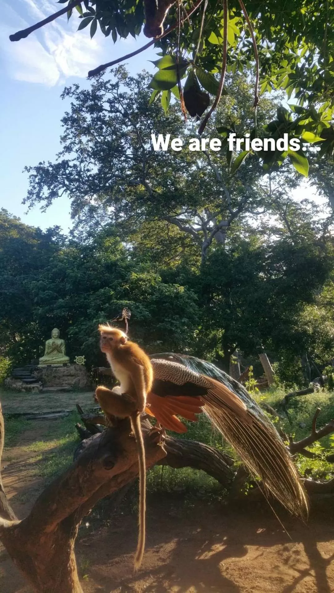 Other Animals in Jungle river humbhaha hostel