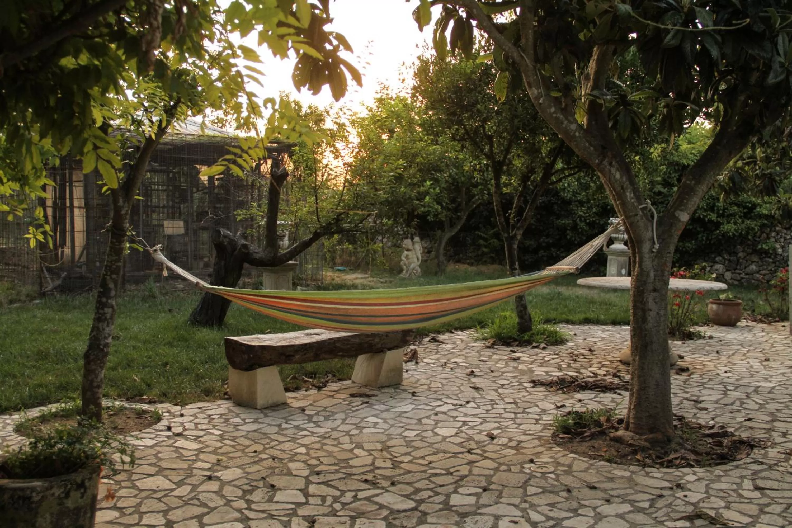 Patio in B&B Scipponate