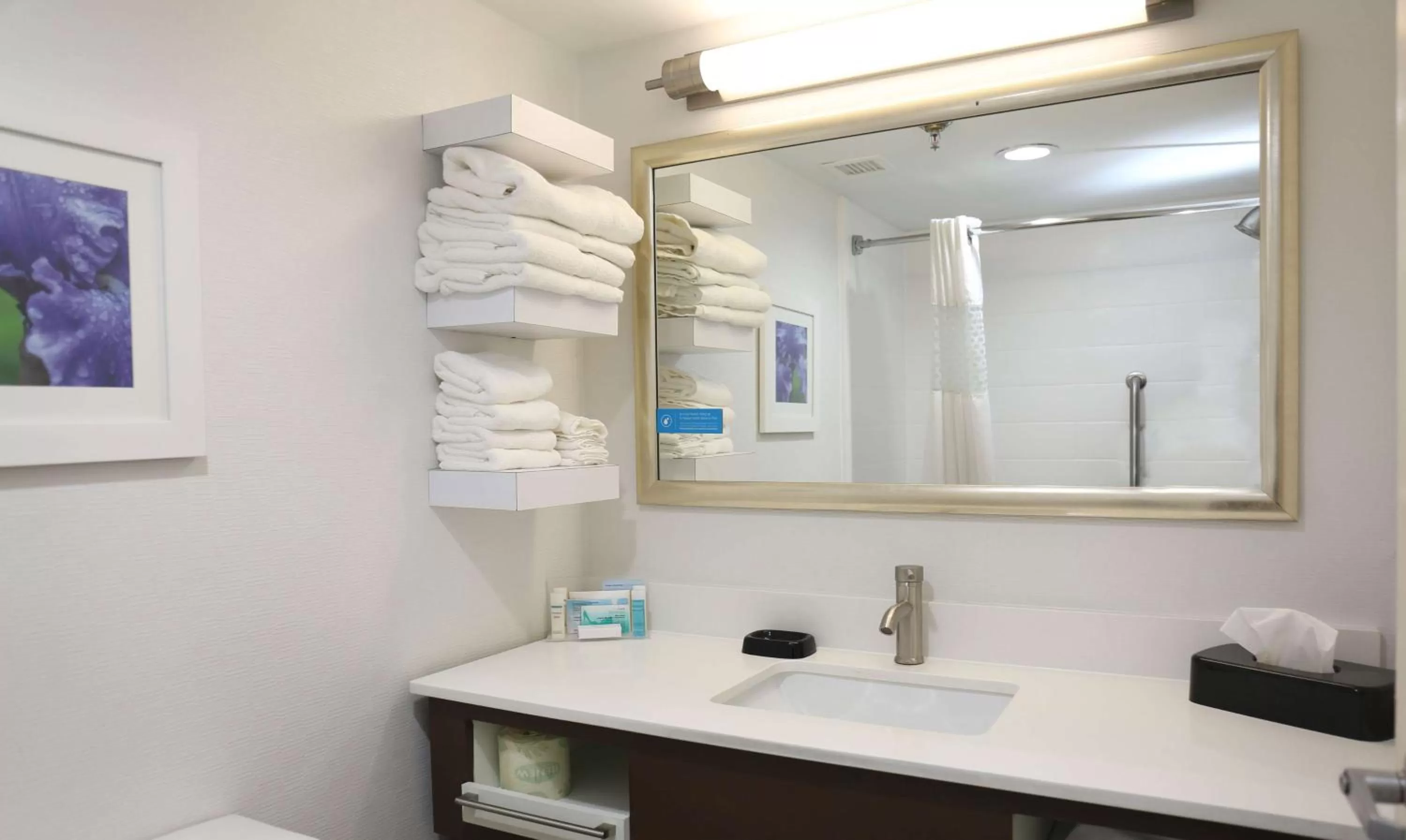 Bathroom in Hampton Inn Sumter