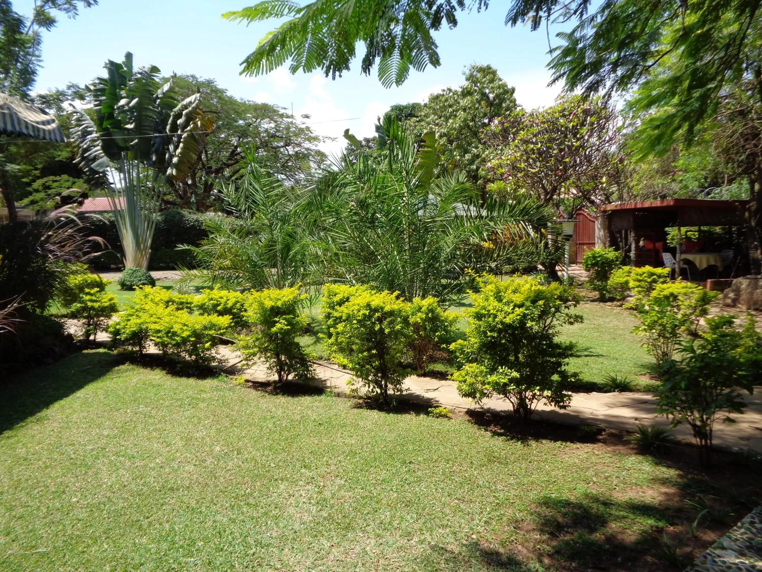 Garden in The Clarice House
