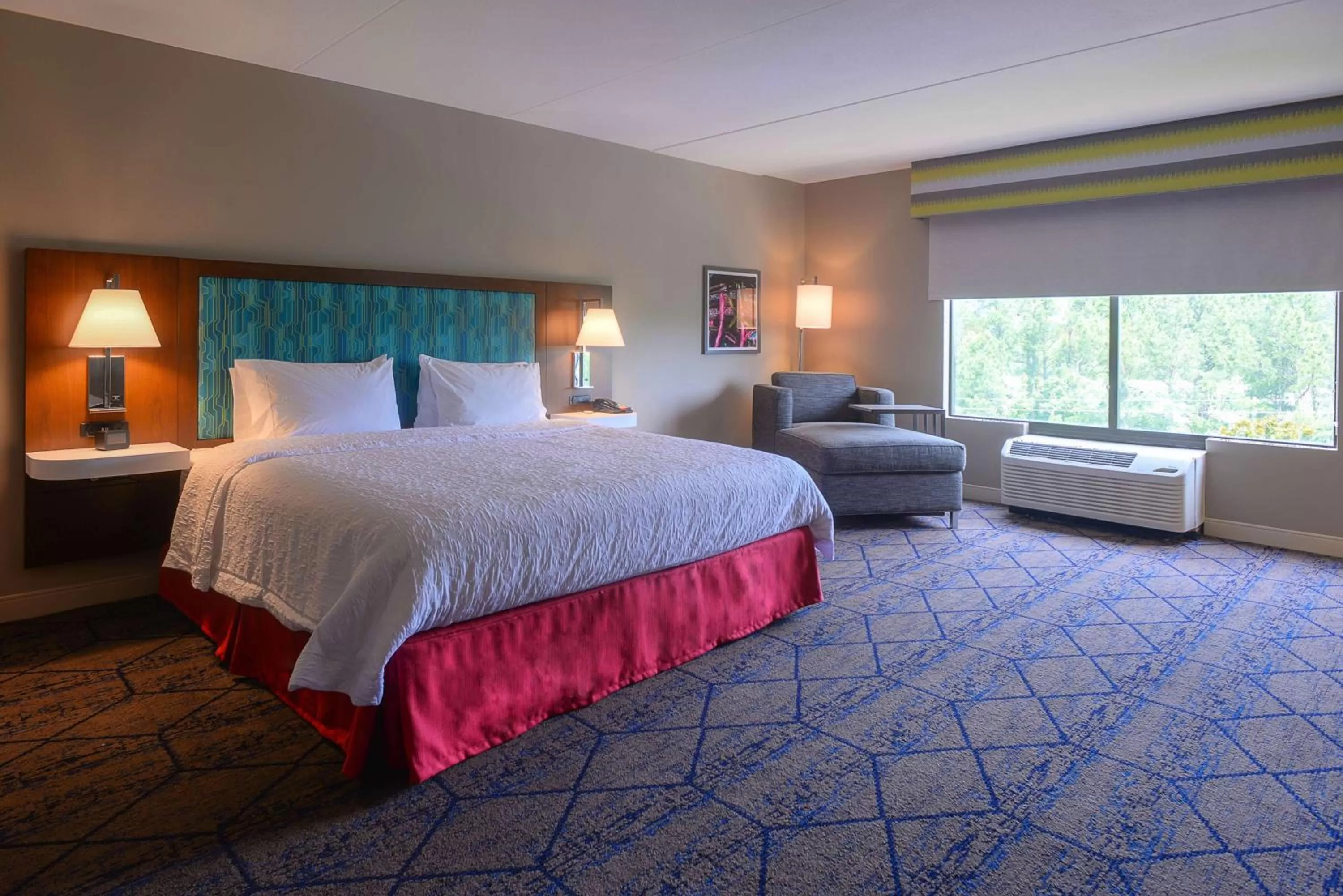 King Room with Roll-In Shower - Disability Access in Hampton Inn & Suites Atlanta-Six Flags