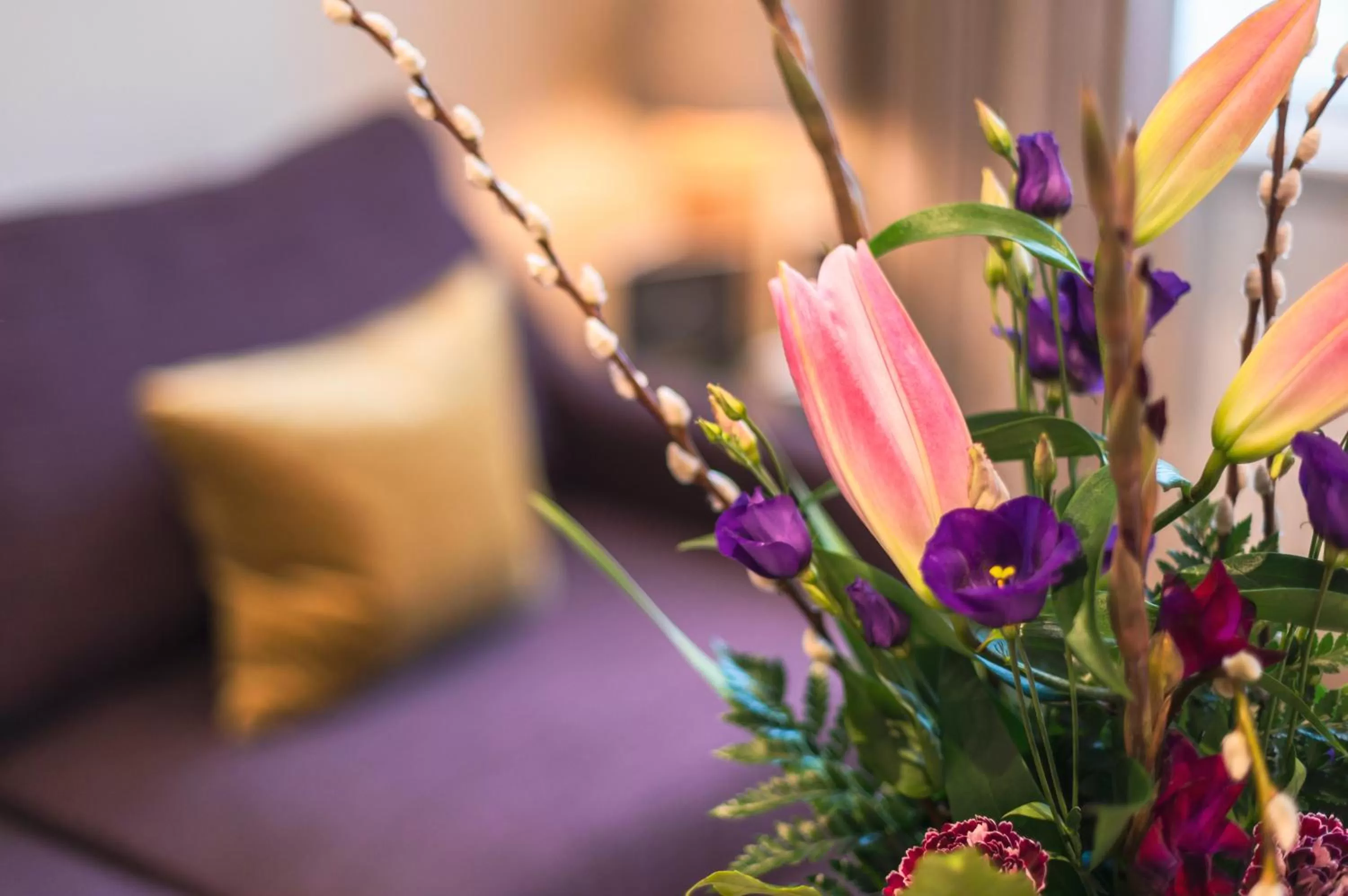 Braid Apartments by Mansley