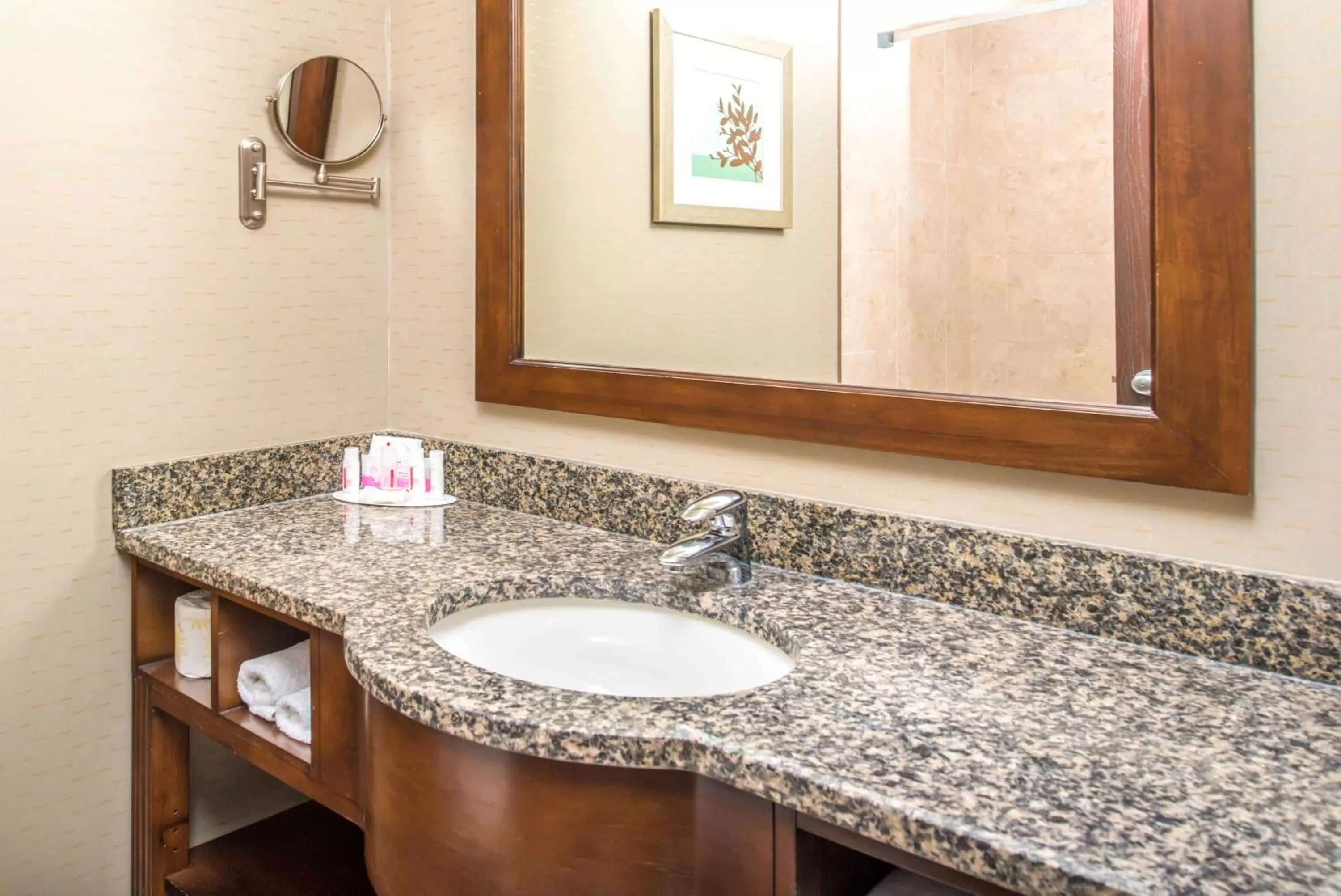 Bathroom in Ramada by Wyndham Saskatoon