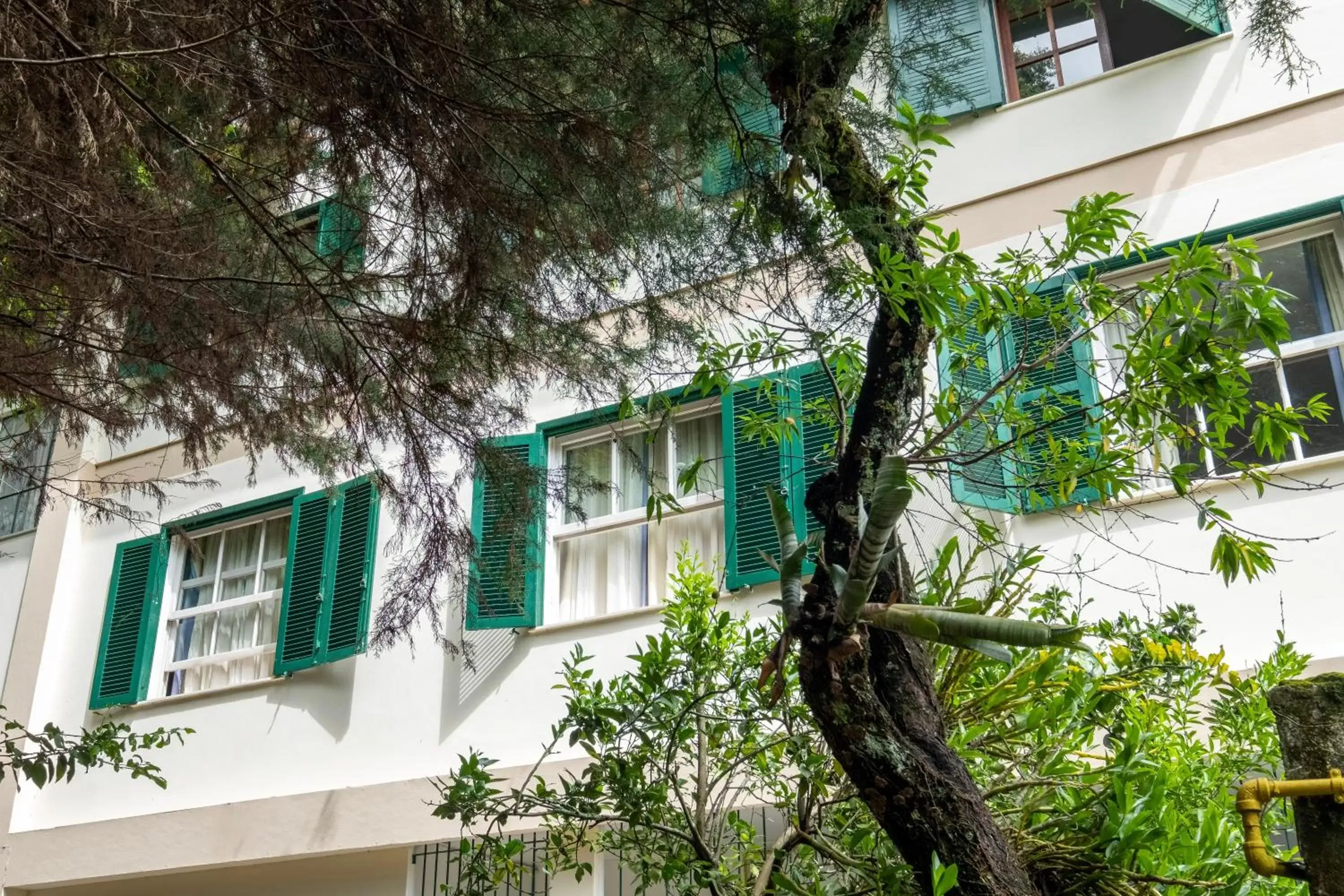 Deluxe Quadruple Room - single occupancy in Hotel Mount Everest Deluxe Quadruple Room - single occupancy in Hotel Mount Everest