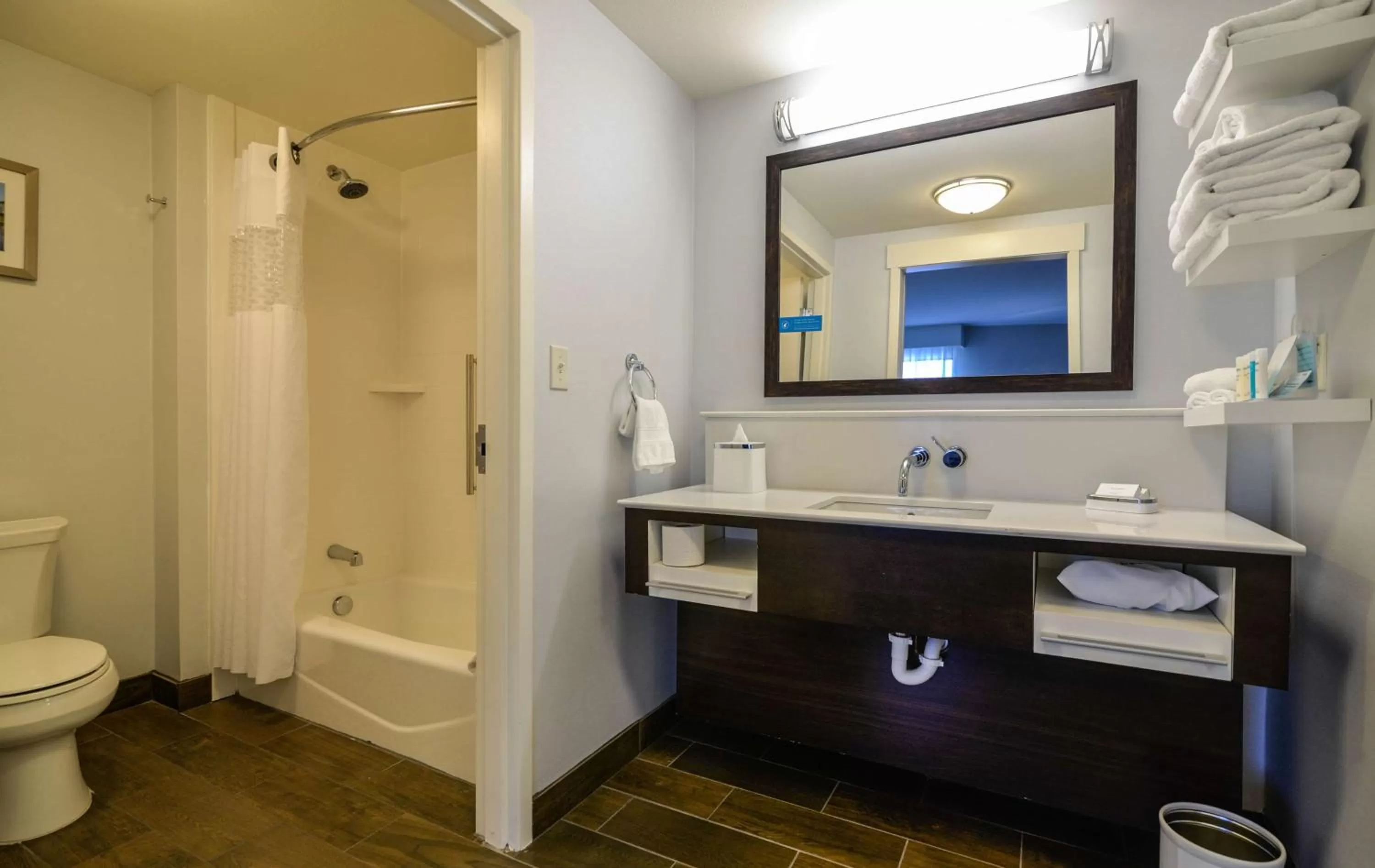 Bathroom in Hampton Inn Brighton Mi