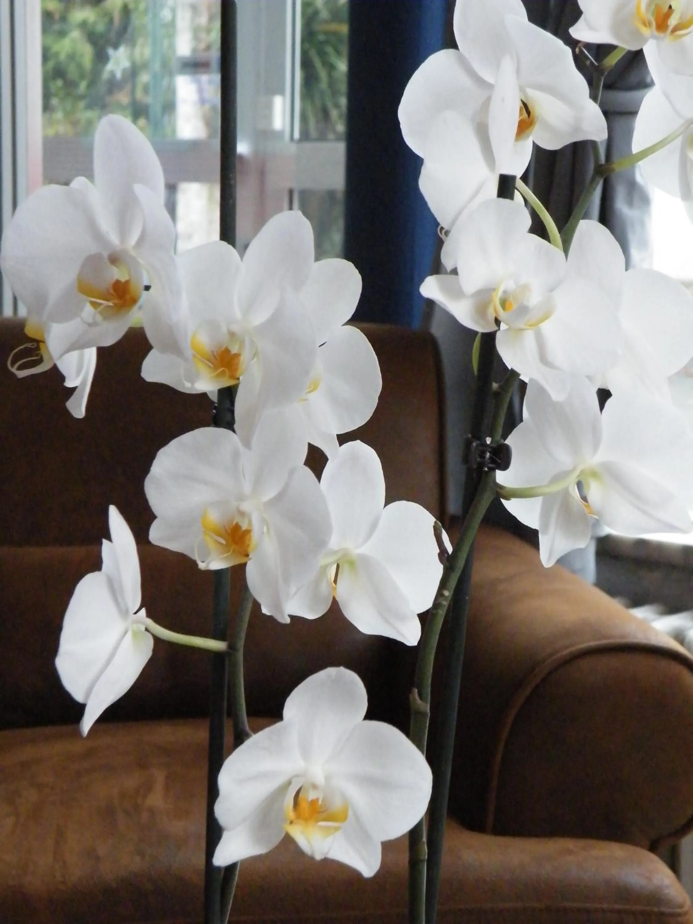 Other in Hôtel de L'Avenue