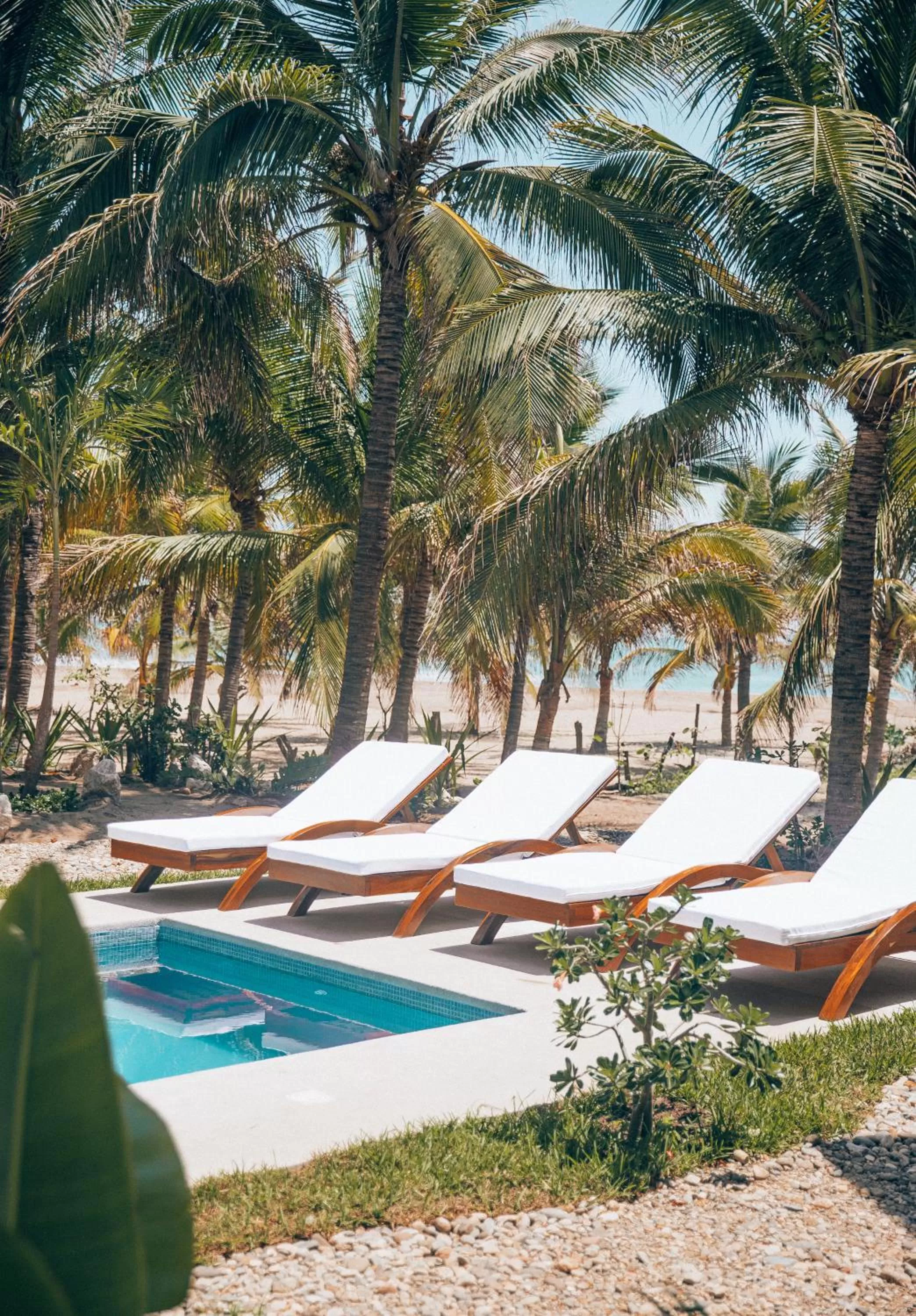 Pool view in Casa Kuaa