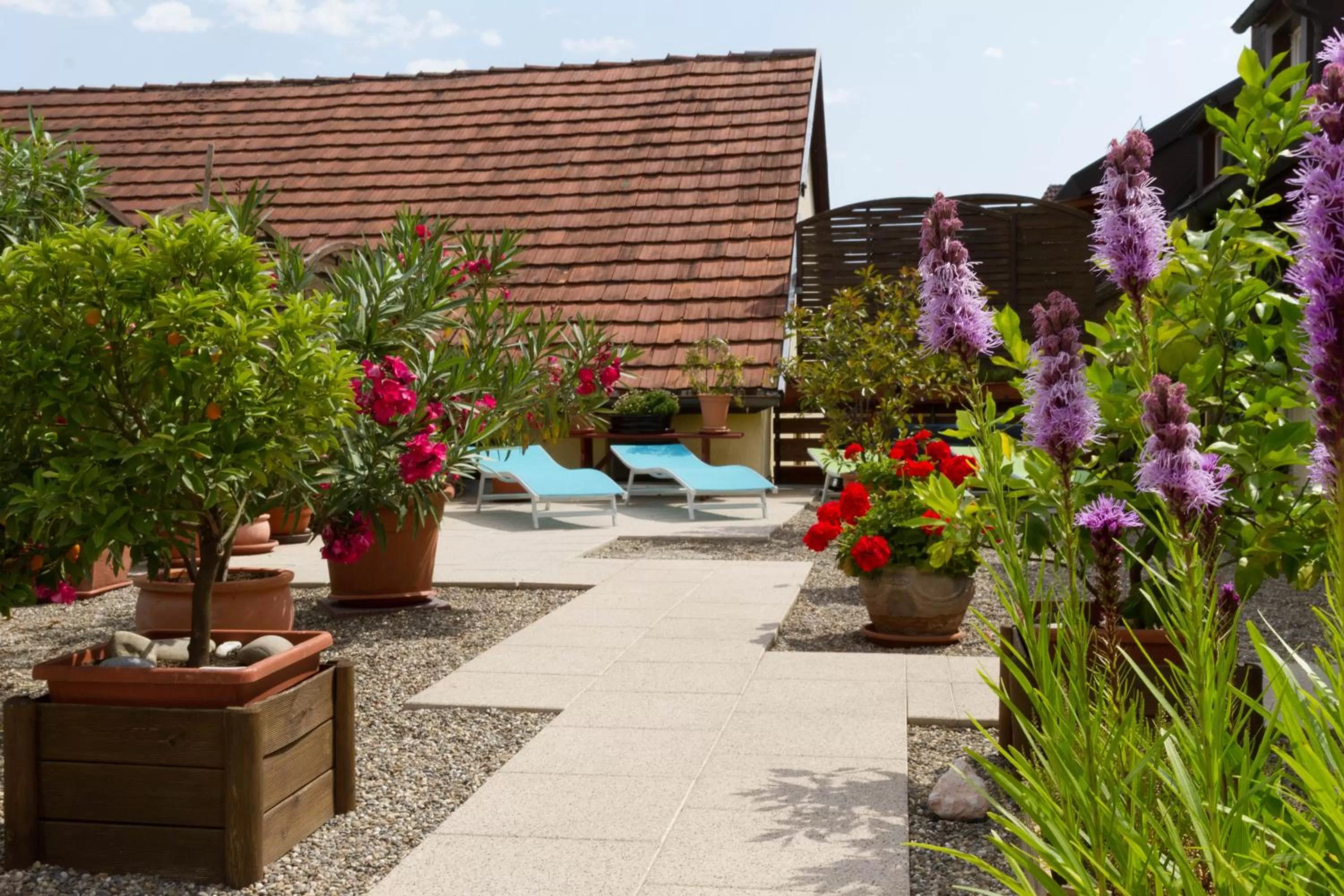 Balcony/Terrace in Tuniberg Restaurant Hotel