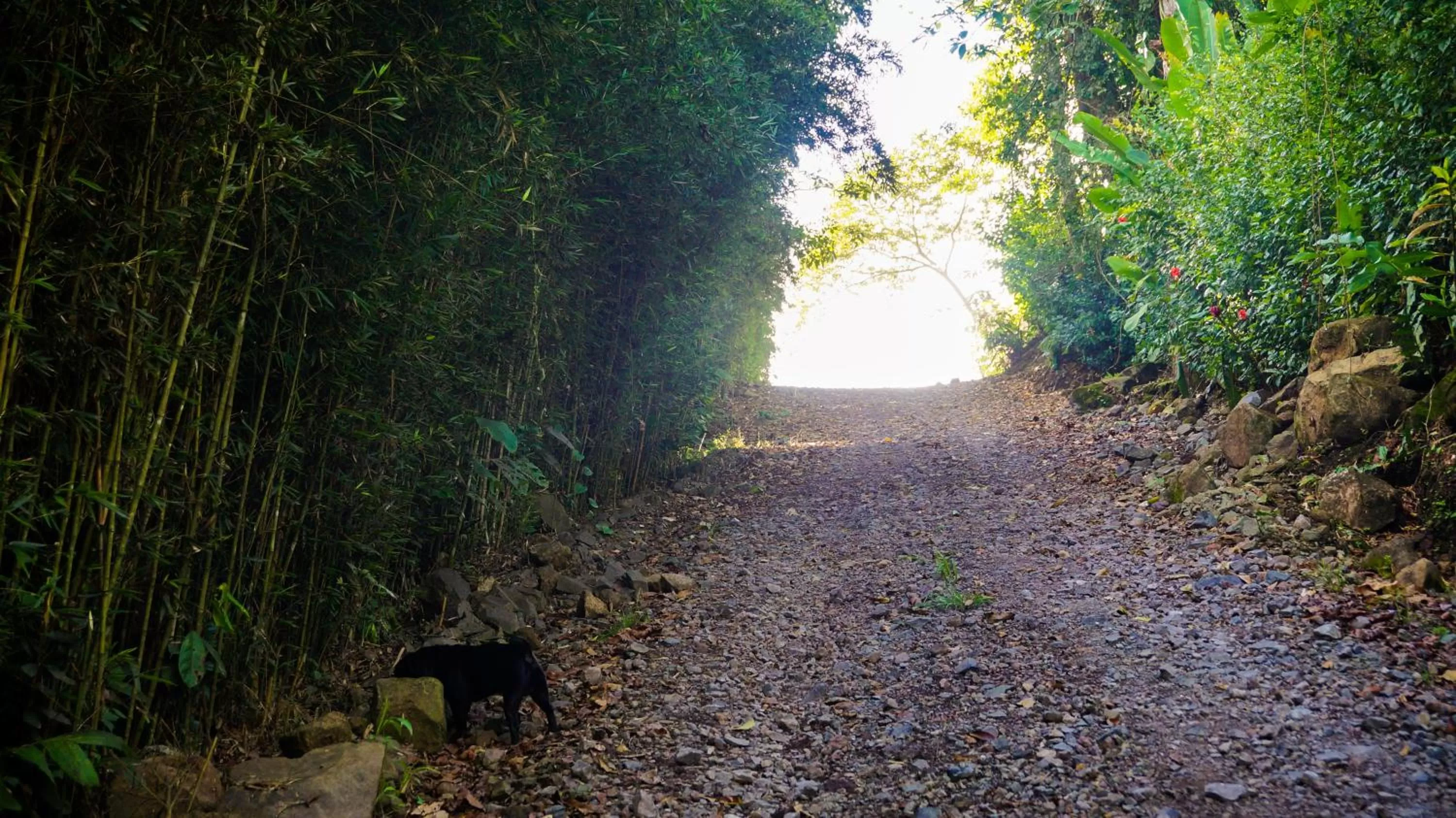 Day in Hospedaje La Naciente