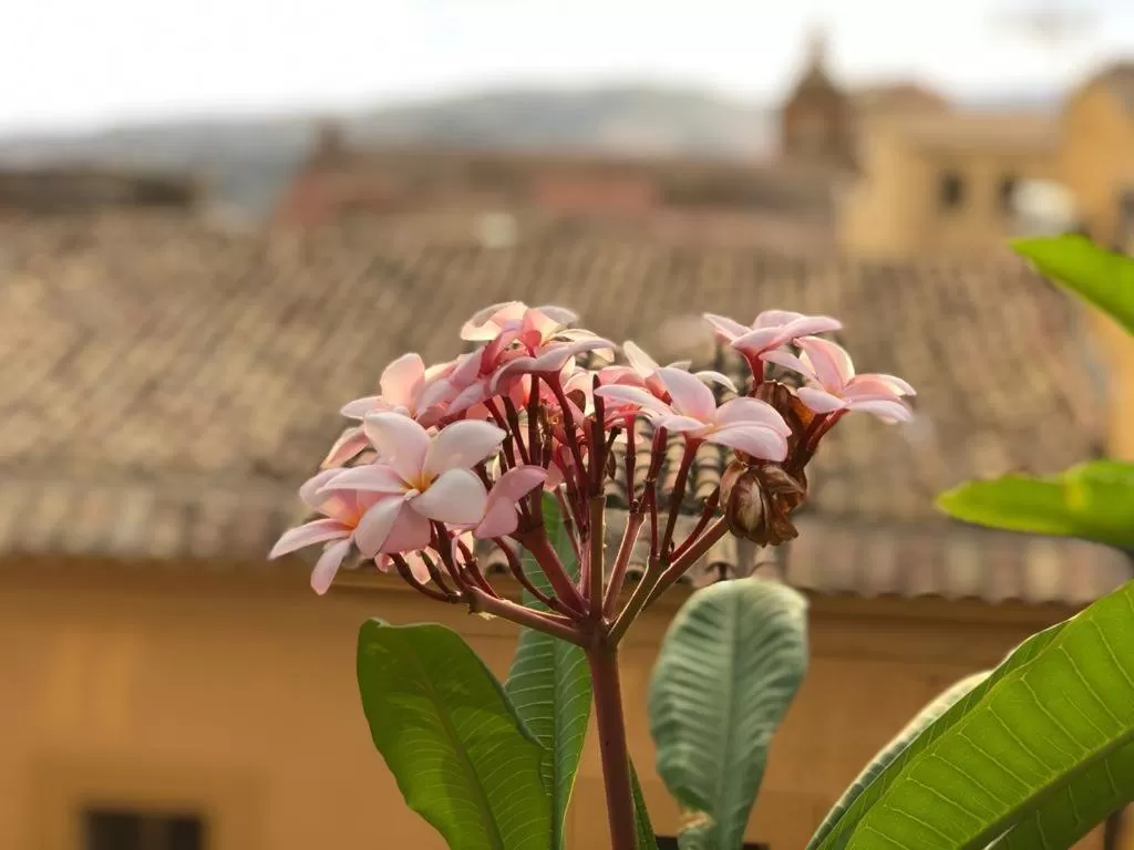 terrazze di montelusa