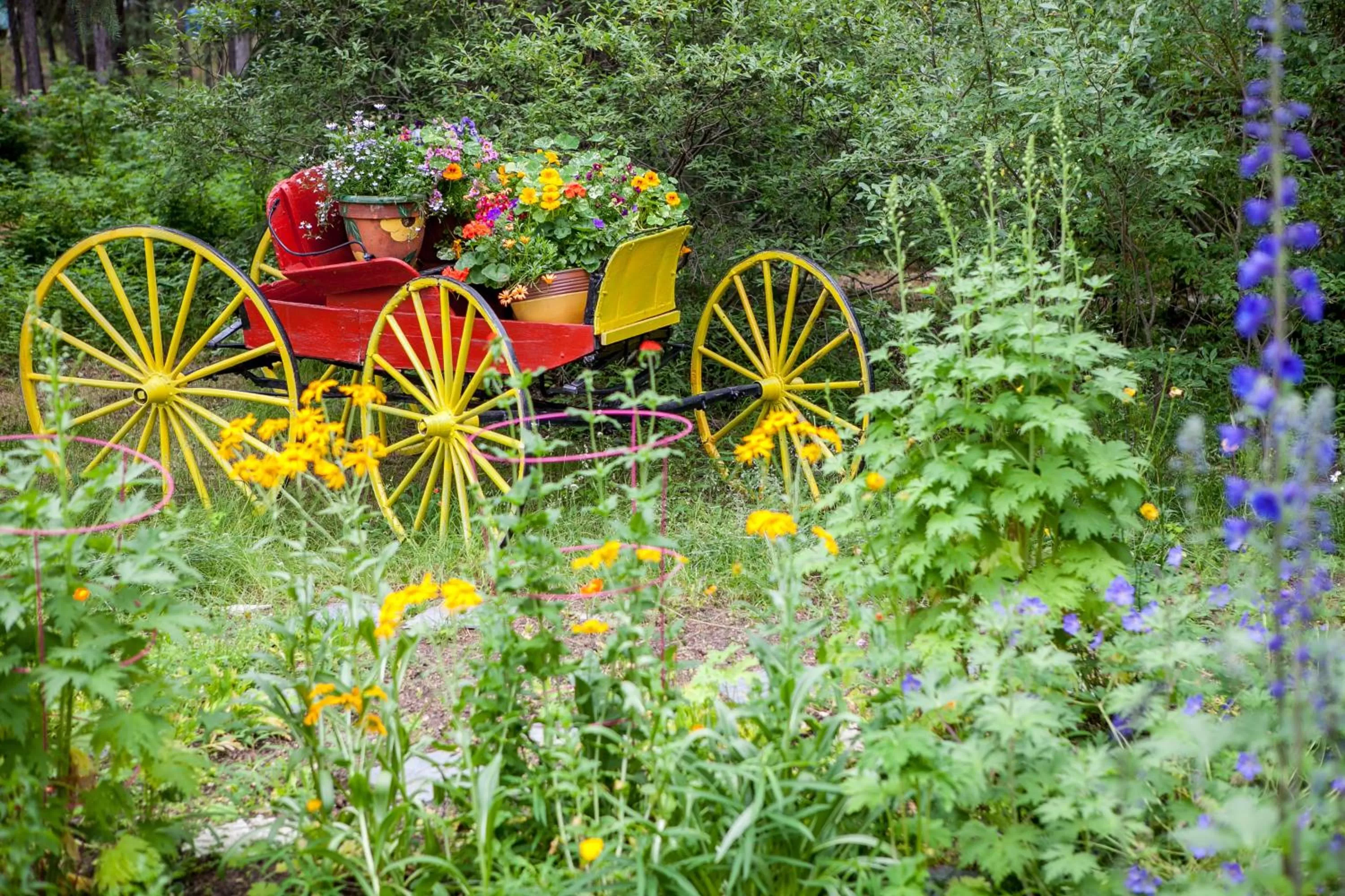 Garden in Hidden Valley Bed and Breakfast