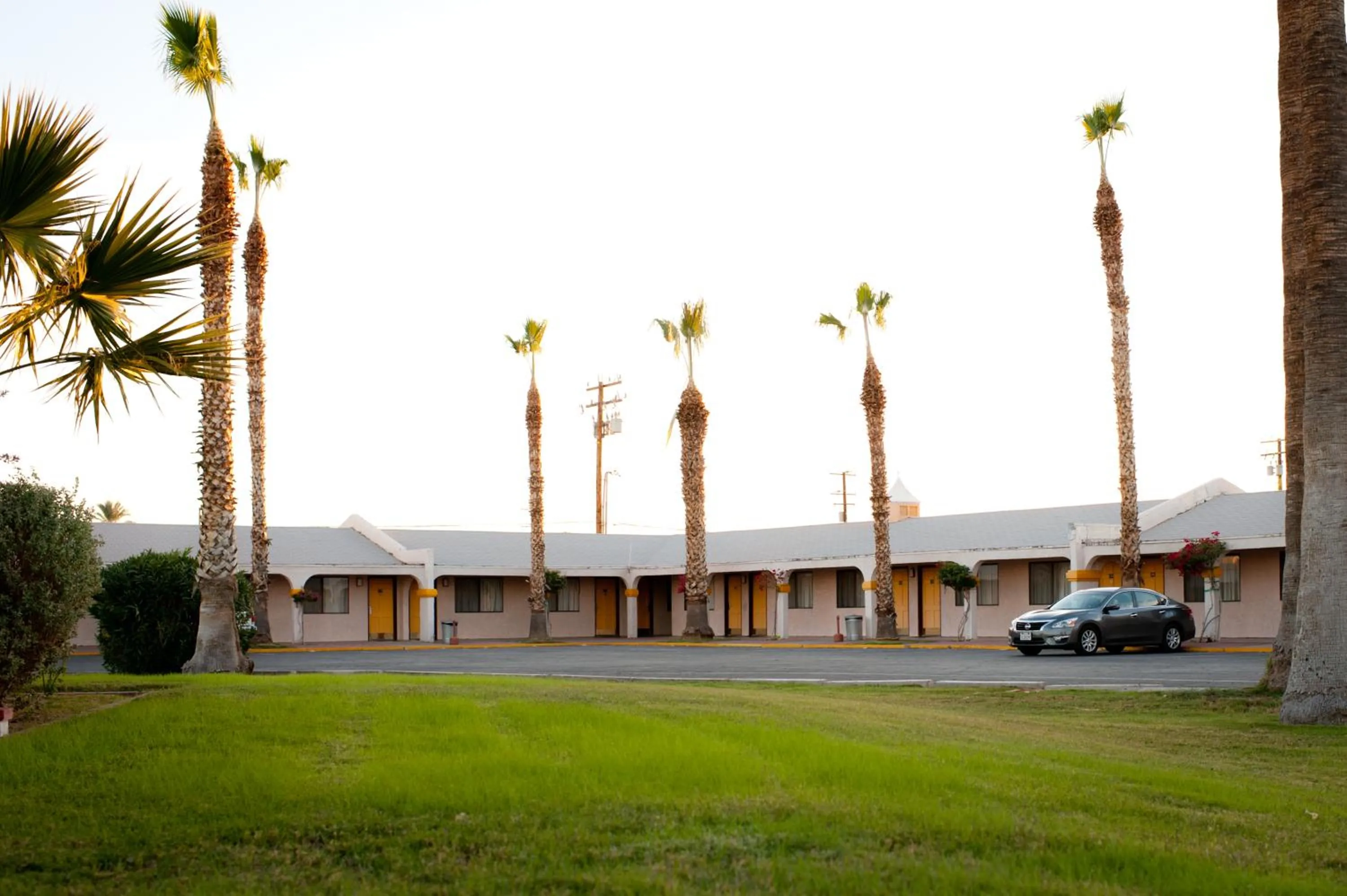 Garden in Emerald Inn & Lounge