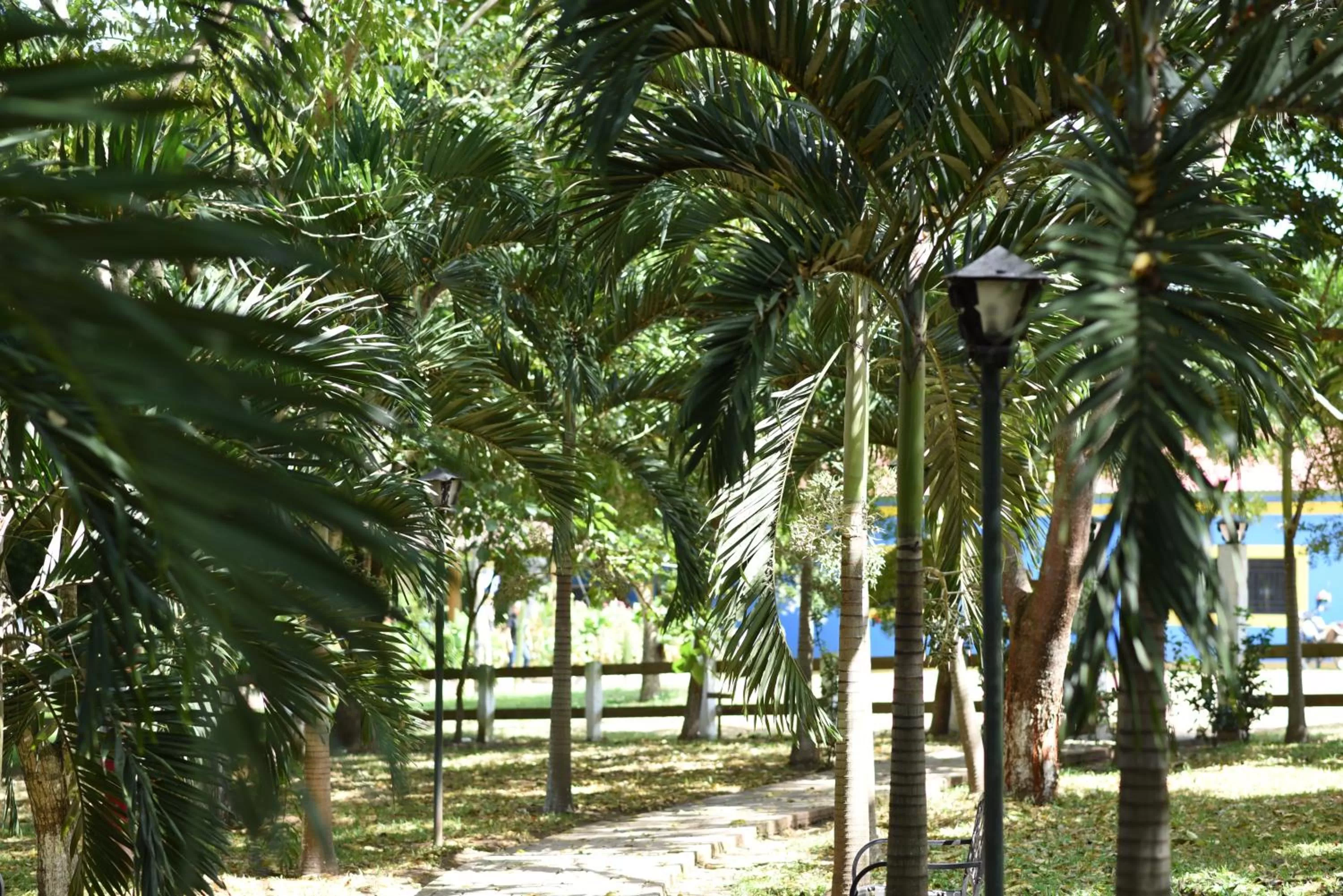 Natural landscape, Garden in Hotel de Campo Villa de Ada