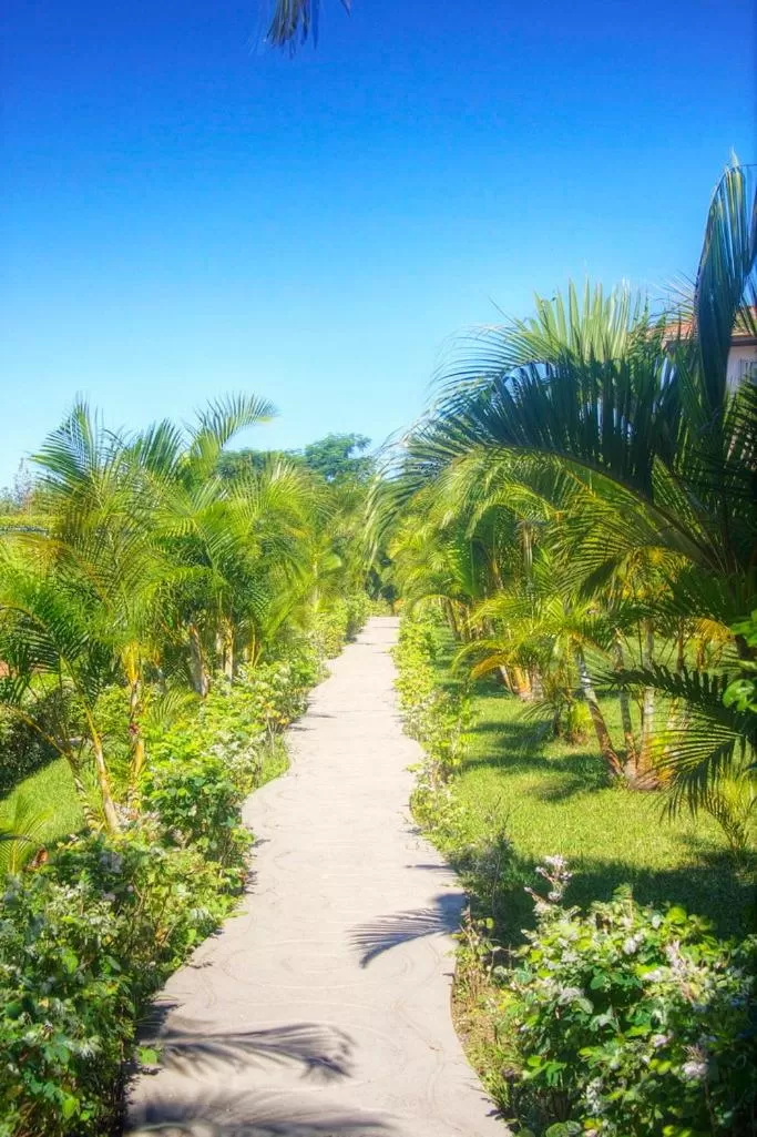 Garden in Camboa Hotel Paranaguá