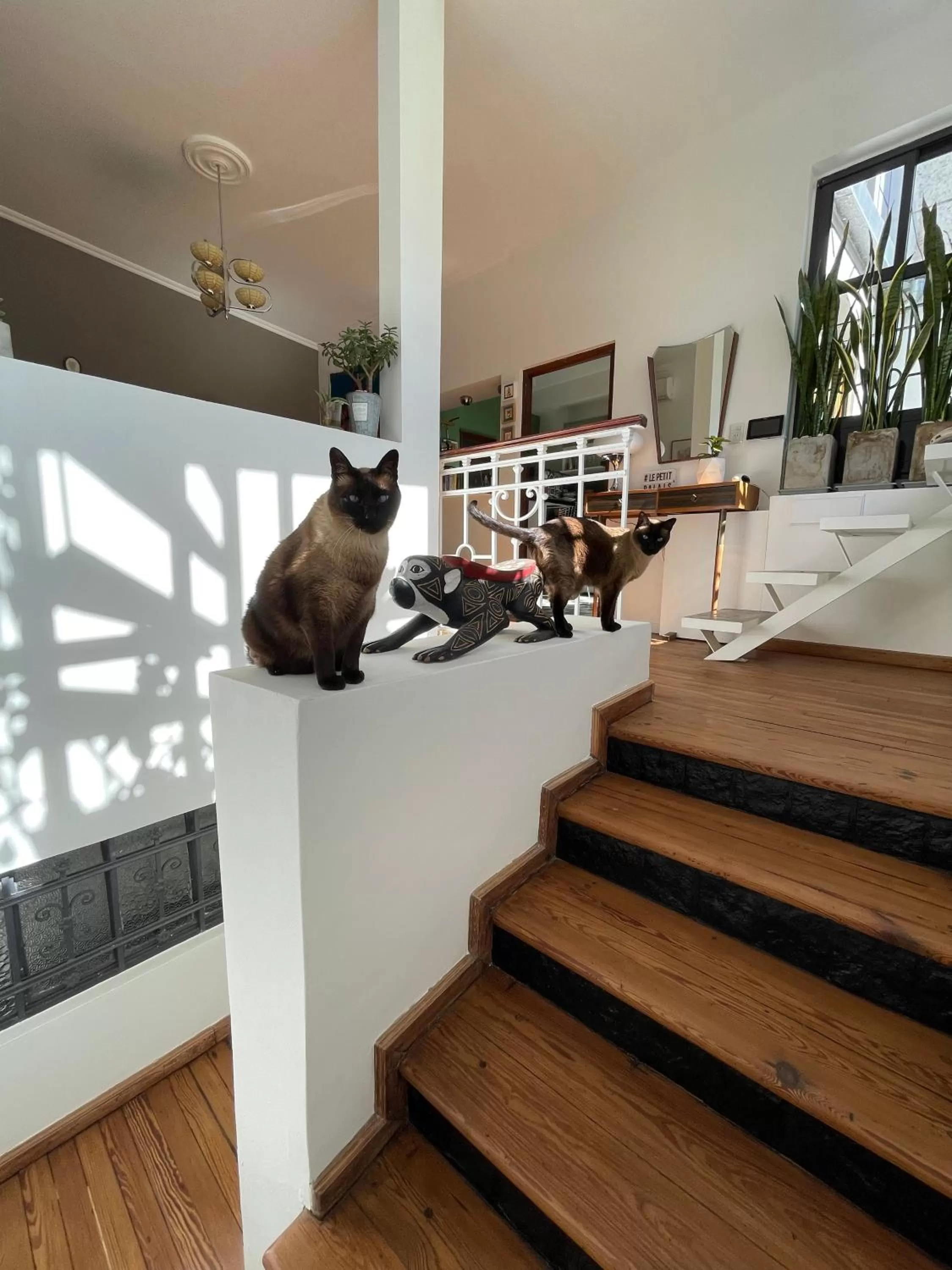 Property building in Le Petit Palais