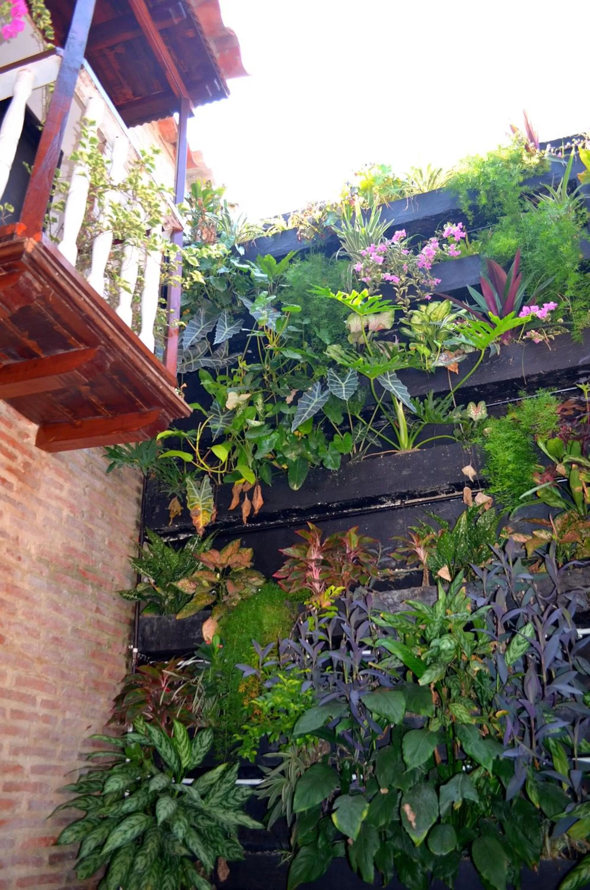 Spring in Hotel Galeria la Trinidad