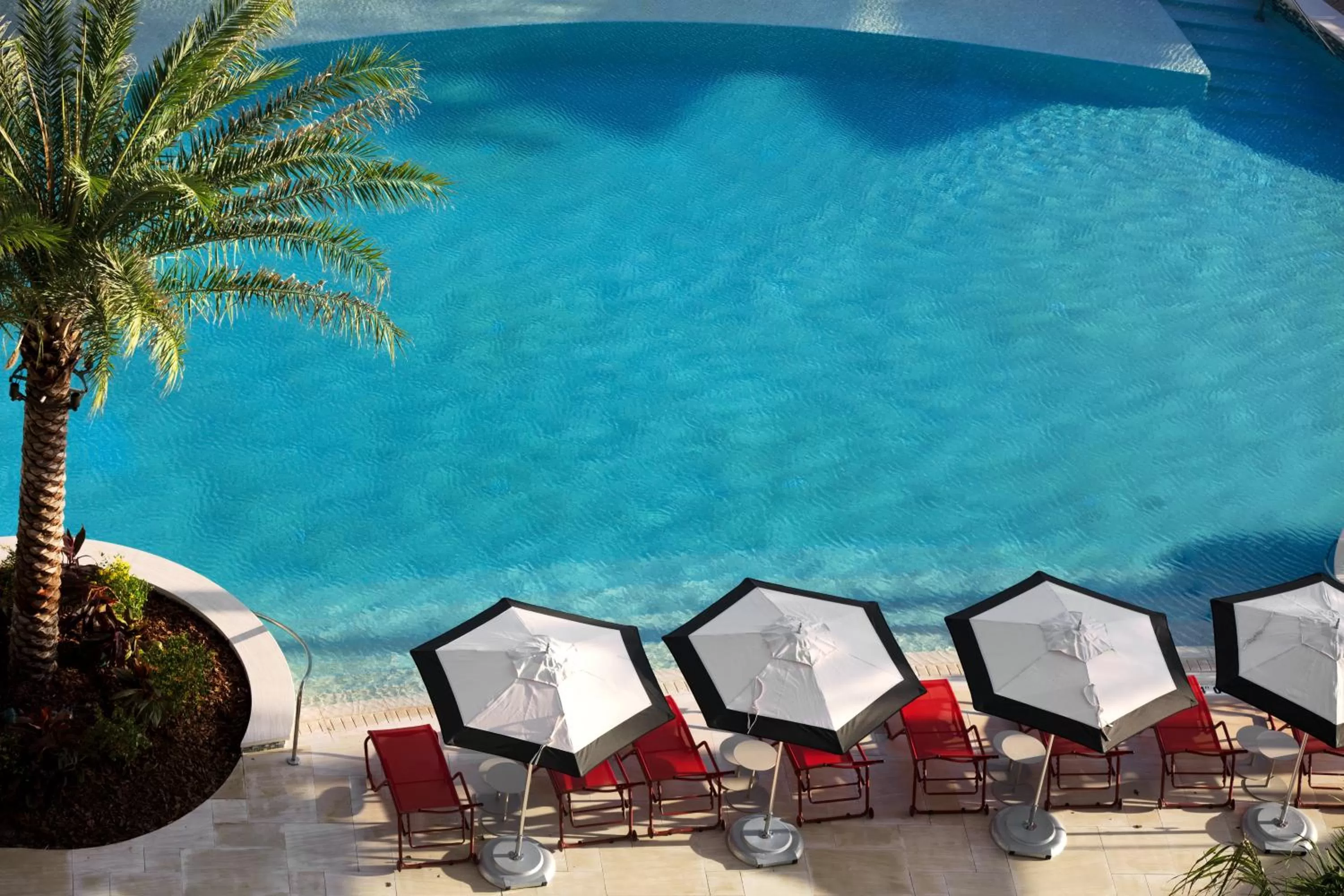 Swimming pool in Kimpton Seafire Resort + Spa by IHG