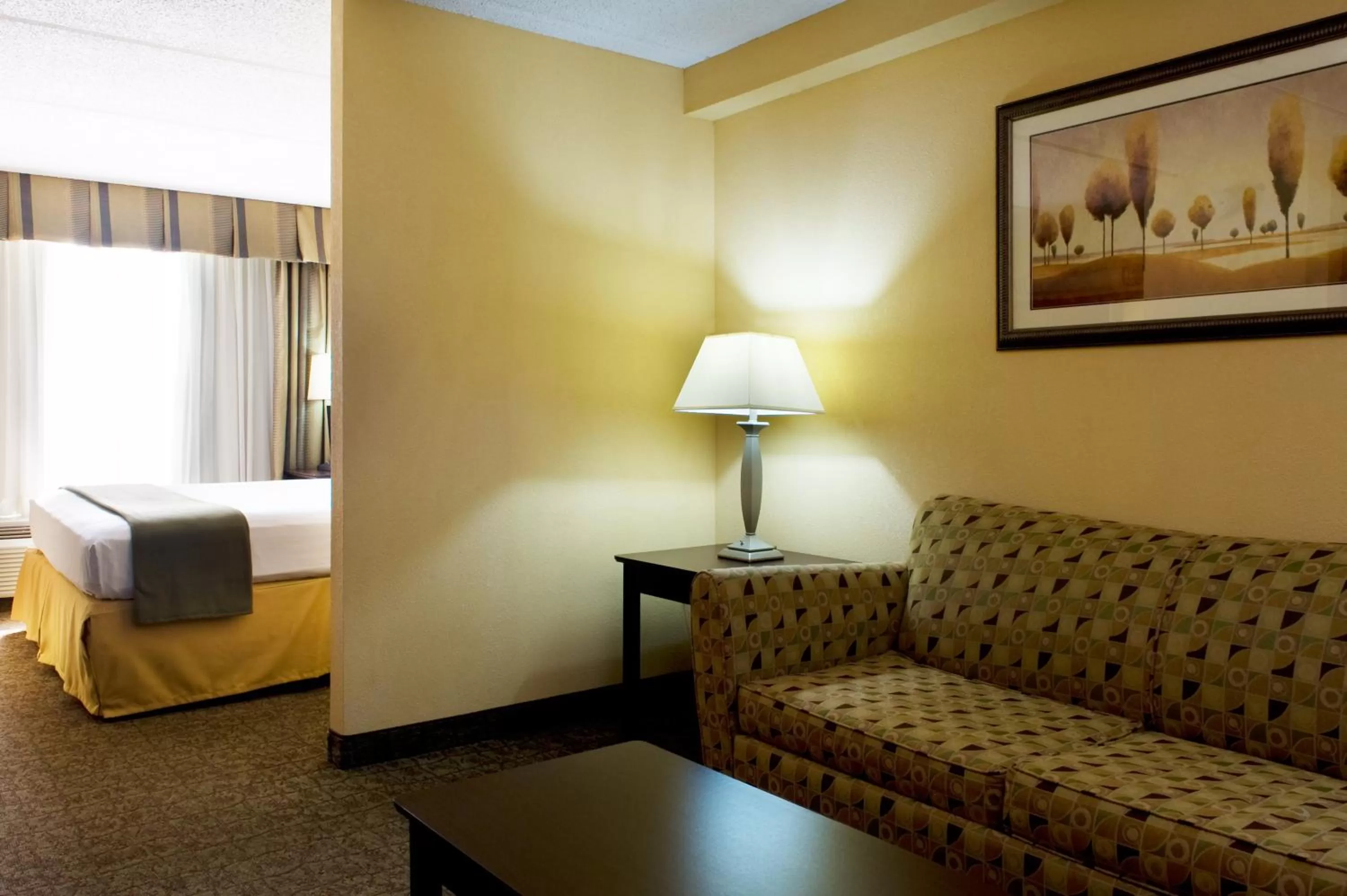 Photo of the whole room, Bed in Holiday Inn Express Hotel & Suites Dallas Fort Worth Airport South by IHG