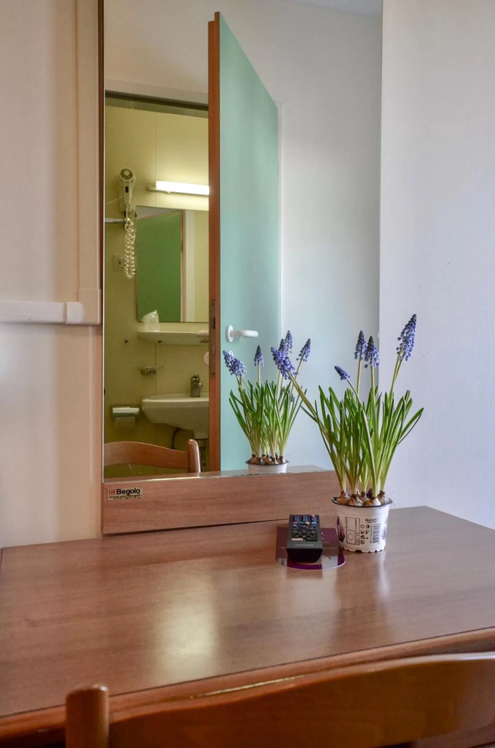 TV and multimedia in Locanda Silva