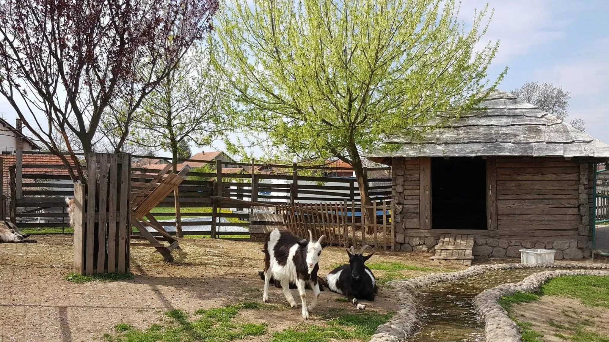 Garden, Other Animals in Ethno Village Stanisici