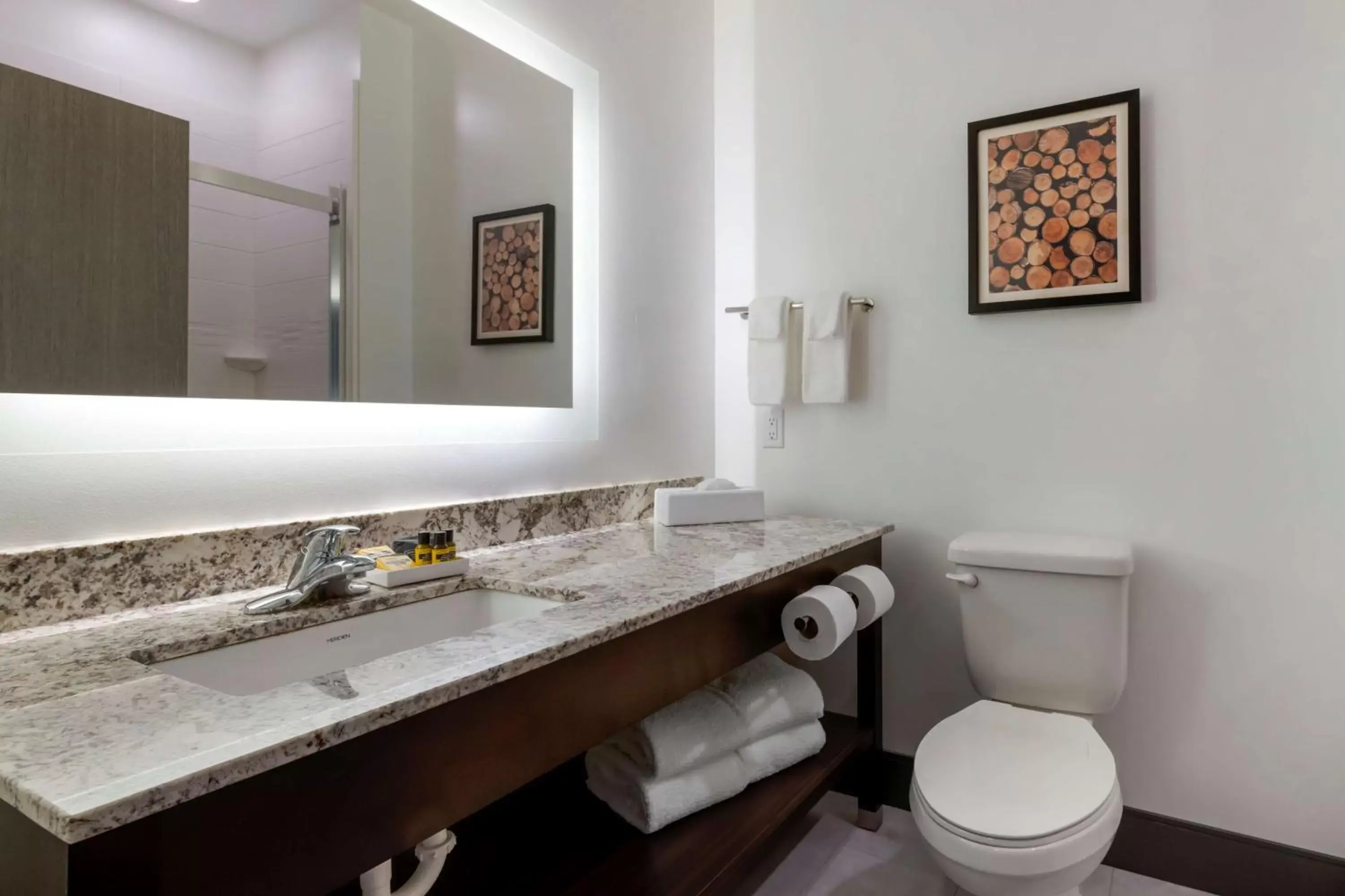 King Suite with Communication Assistance in Best Western Plus Isanti King Suite with Communication Assistance in Best Western Plus Isanti