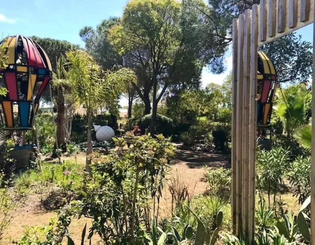 Patio in La cactée singulière