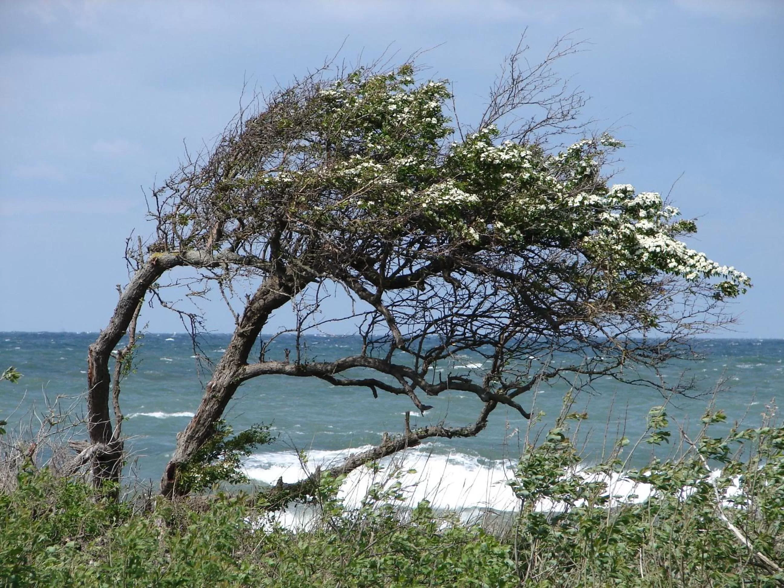 Area and facilities in Hotel Doberaner Hof