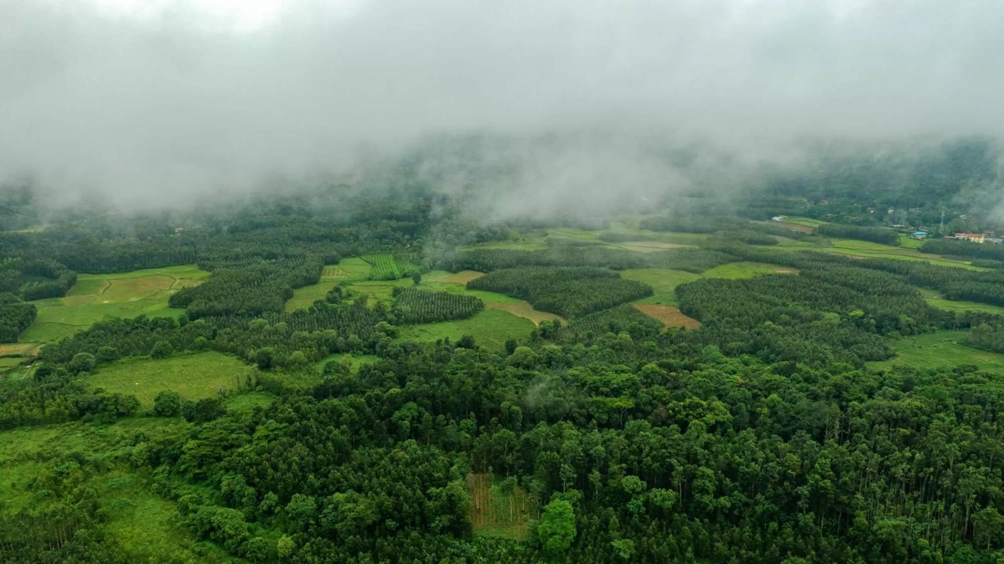 Natural landscape in Vismita County