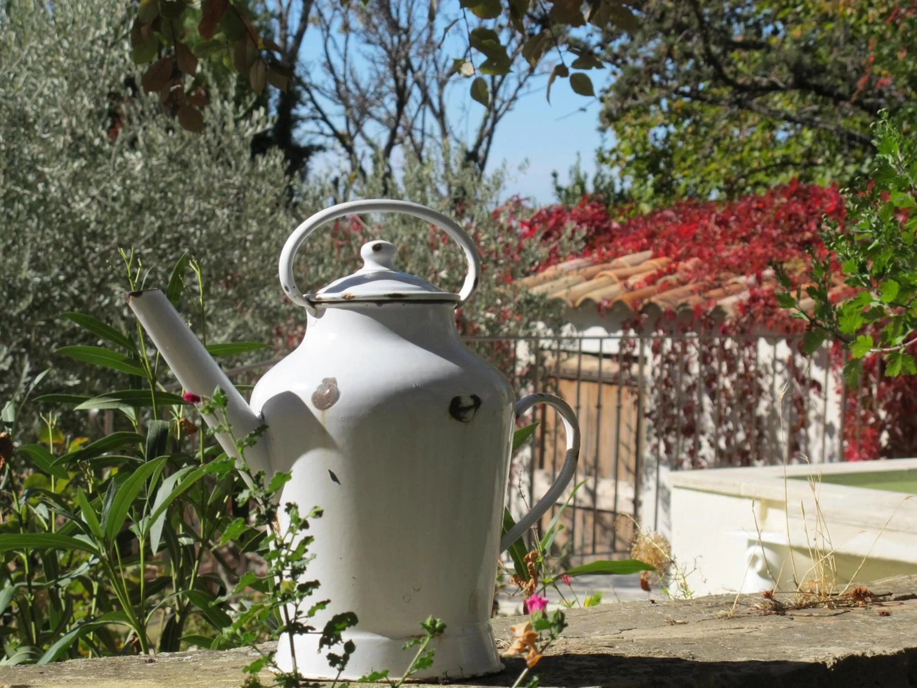 Garden in Lou Cardalines