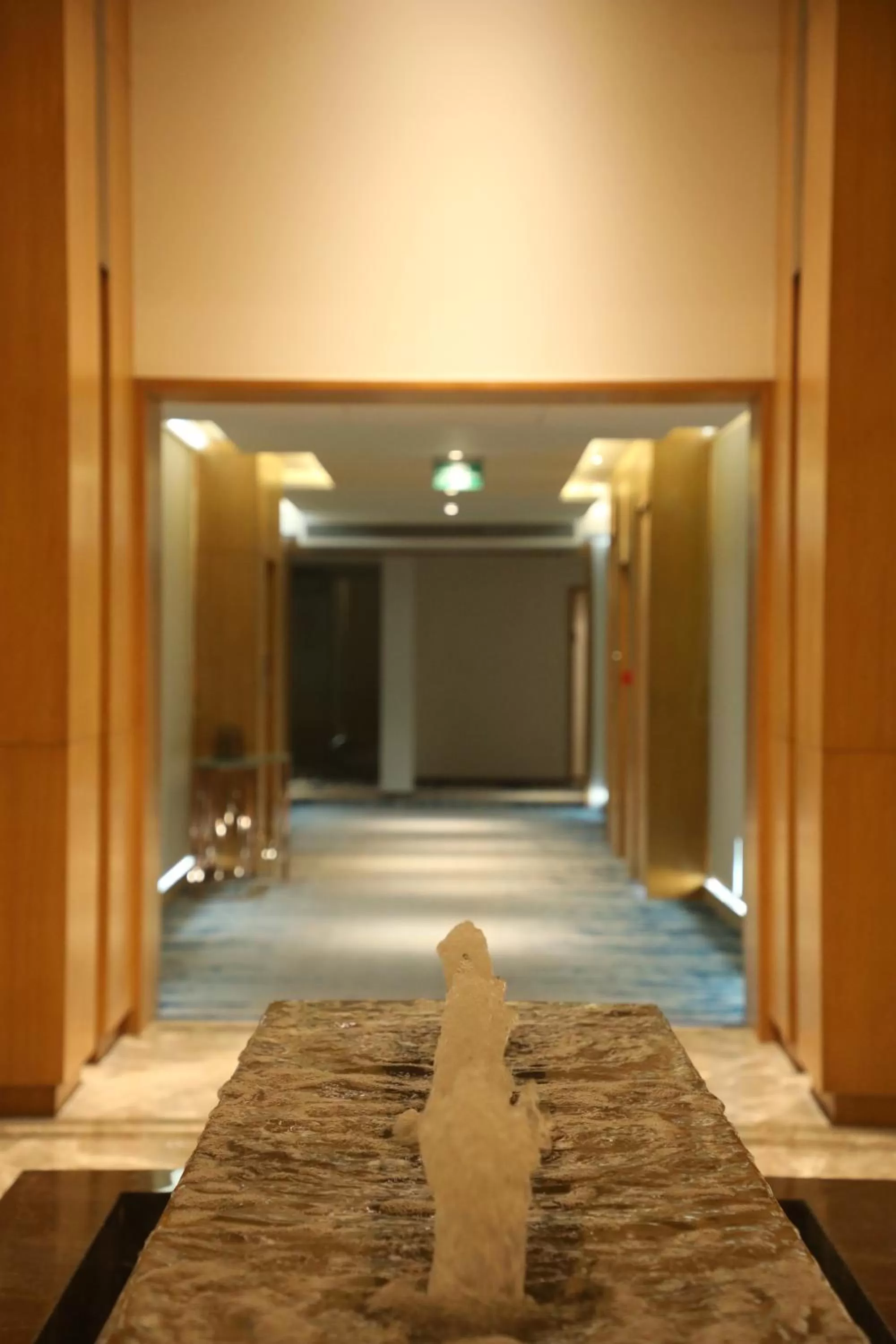 The Fern Residency, Morbi