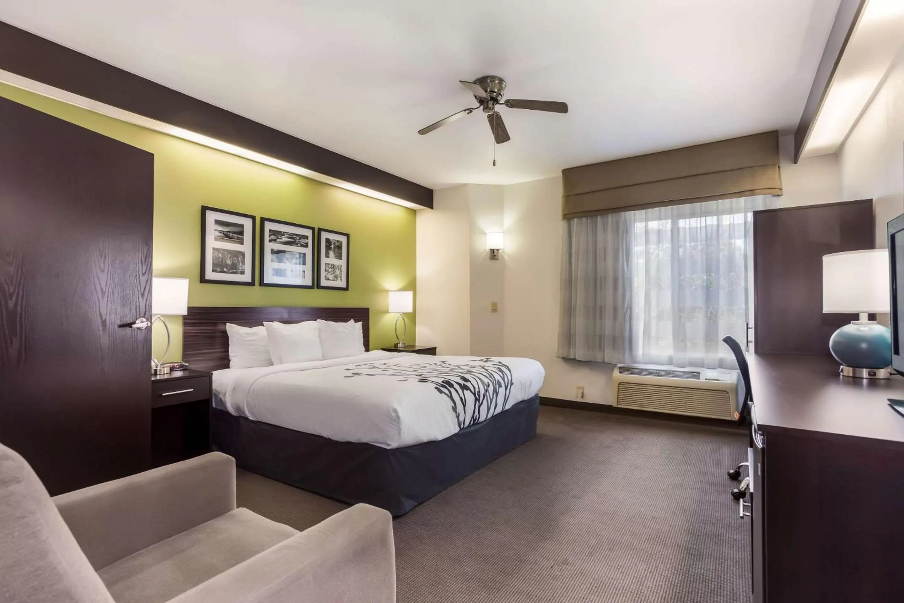 Photo of the whole room, Bed in Sleep Inn Little River - North Myrtle Beach