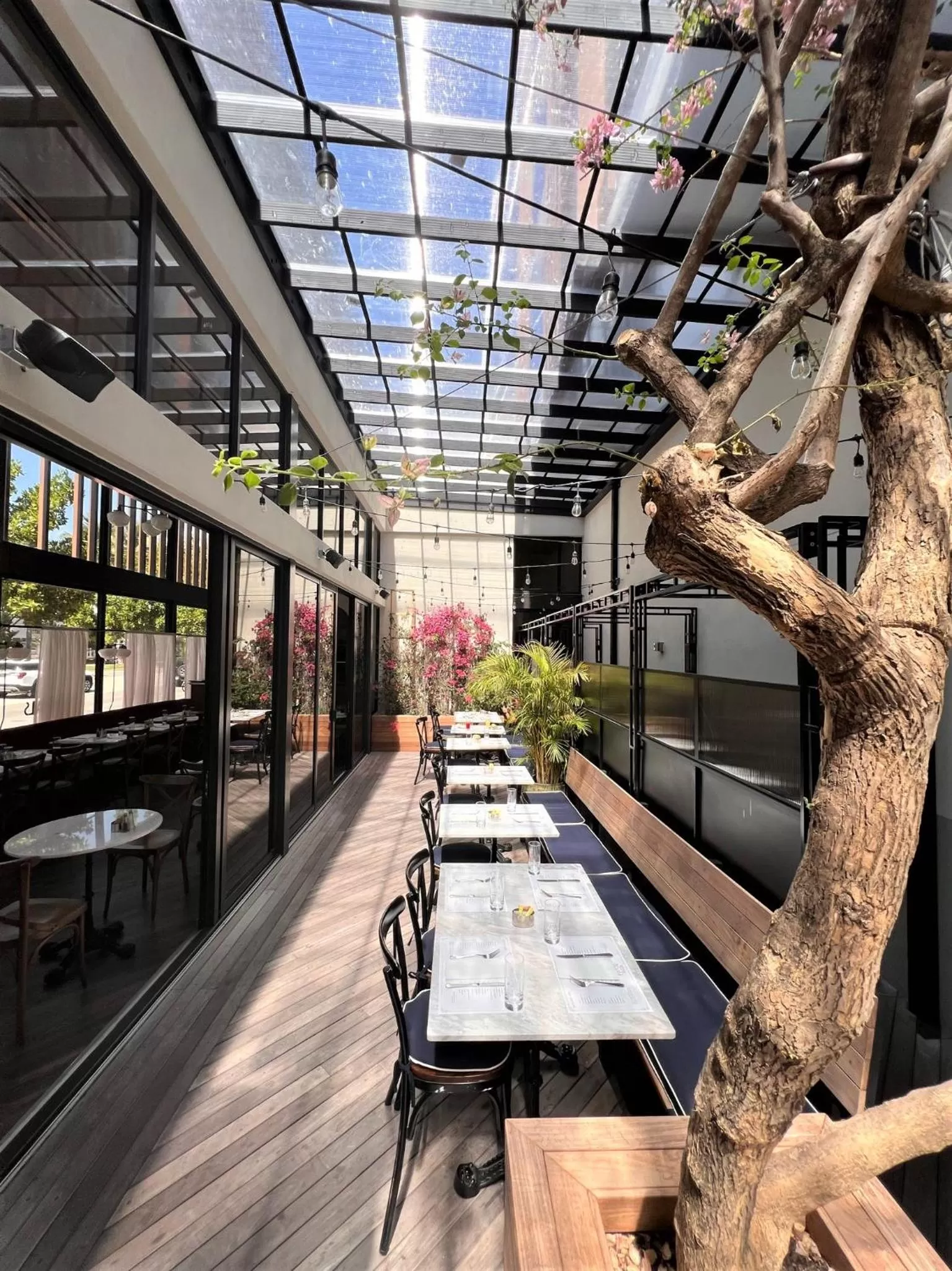 Restaurant/places to eat in Urbanica Fifth