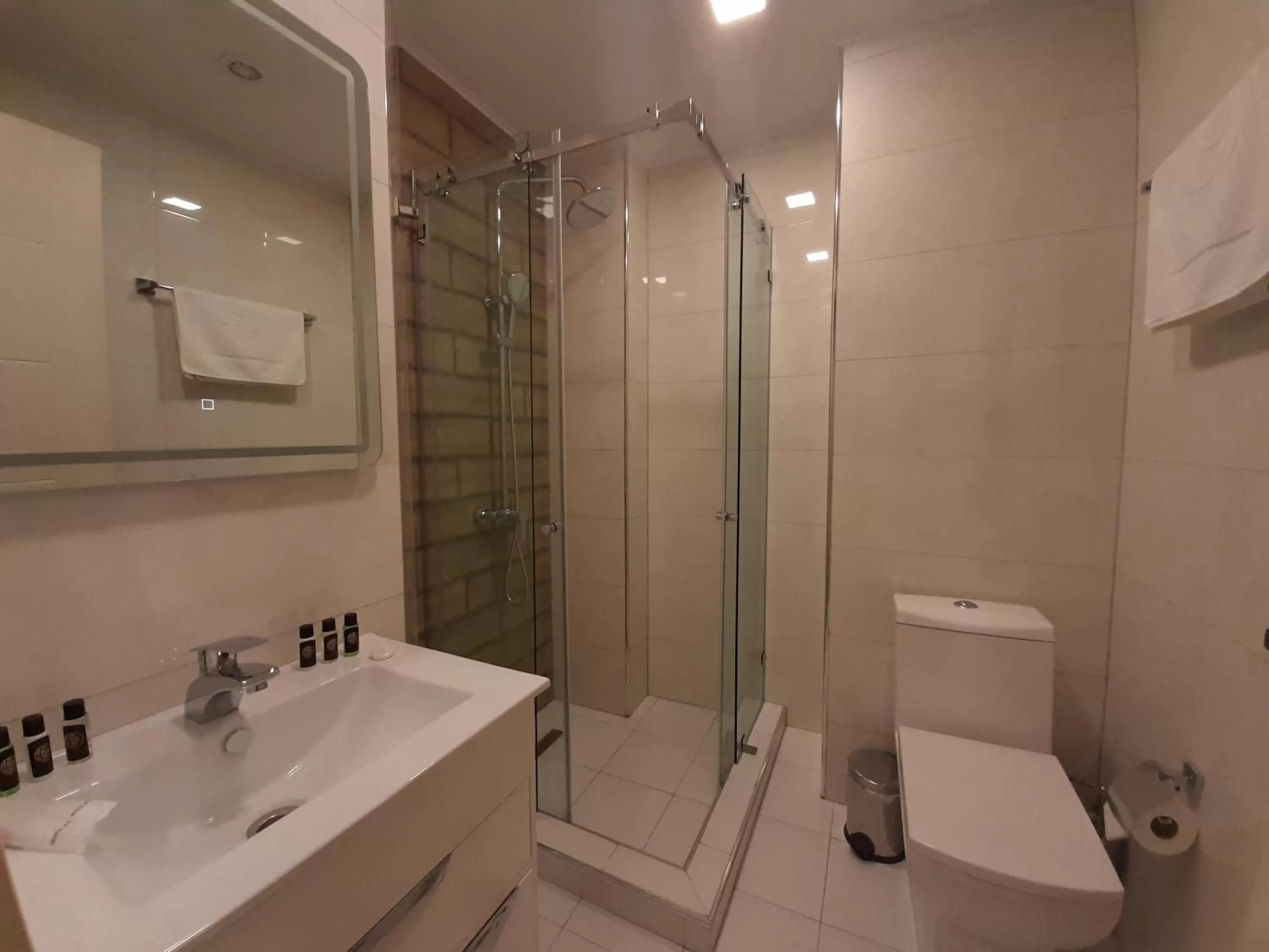 Shower in BG Palace Hotel