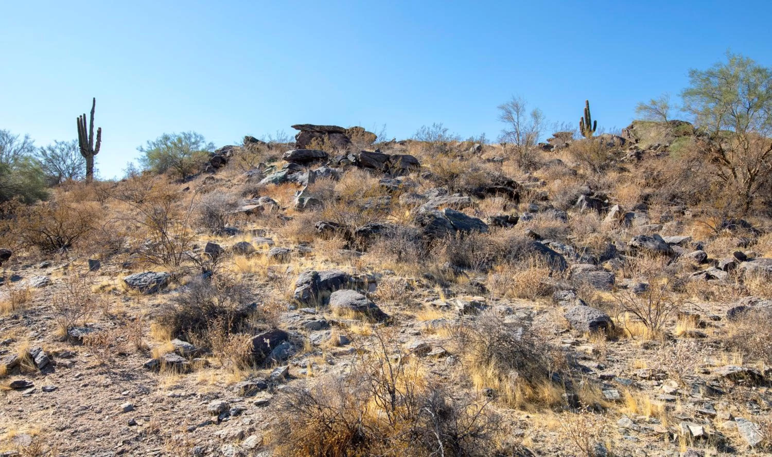 Other in Raintree at Phoenix South Mountain Preserve
