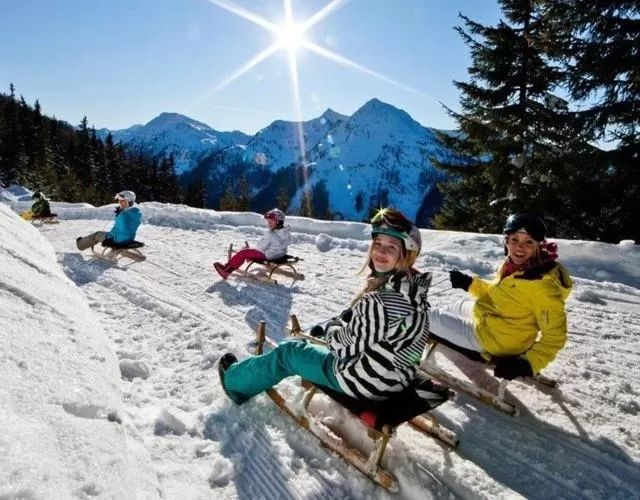 Winter in Panorama Hotel Gasthof Leidingerhof