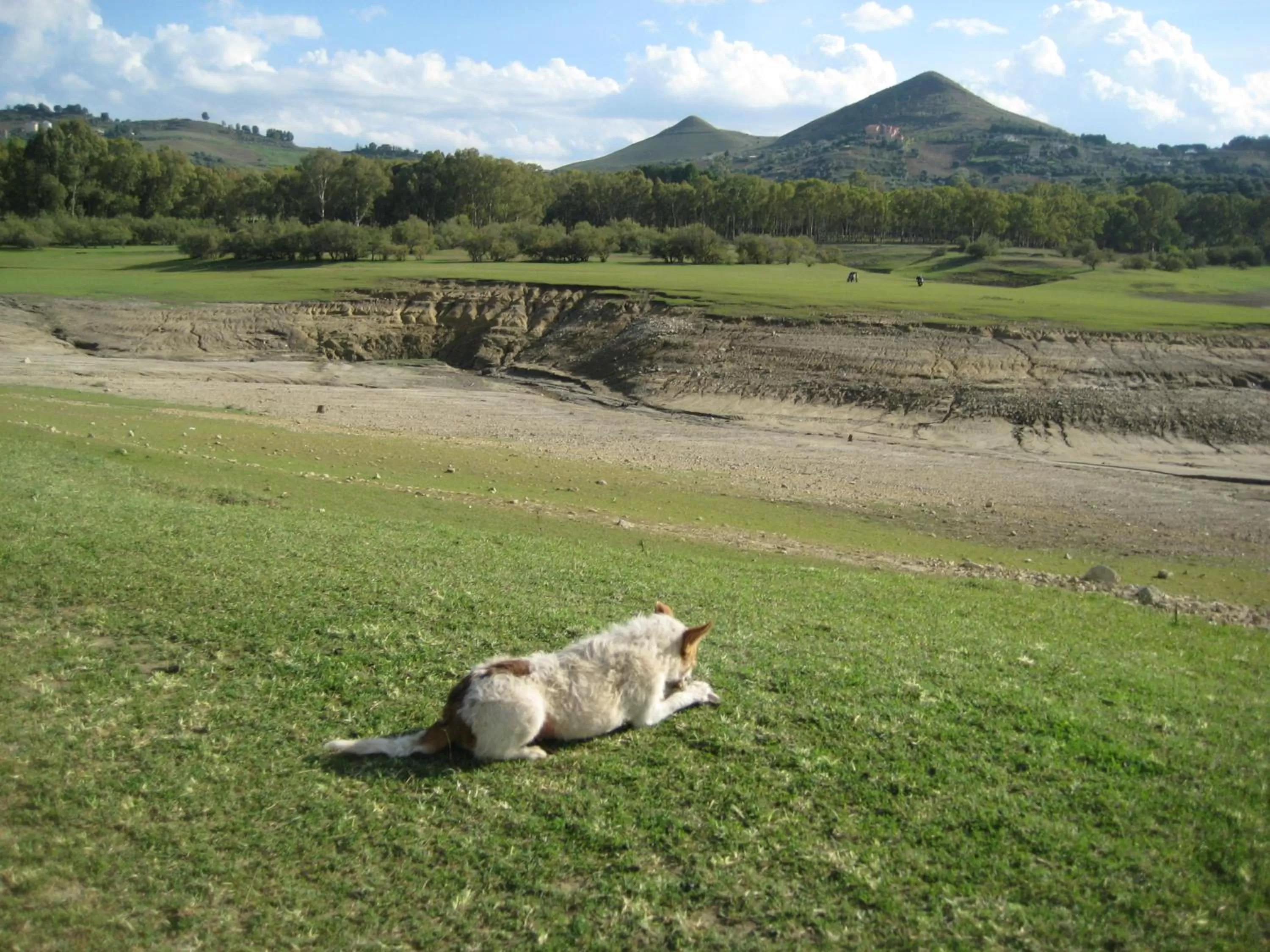 Natural landscape in Oasi del Lago