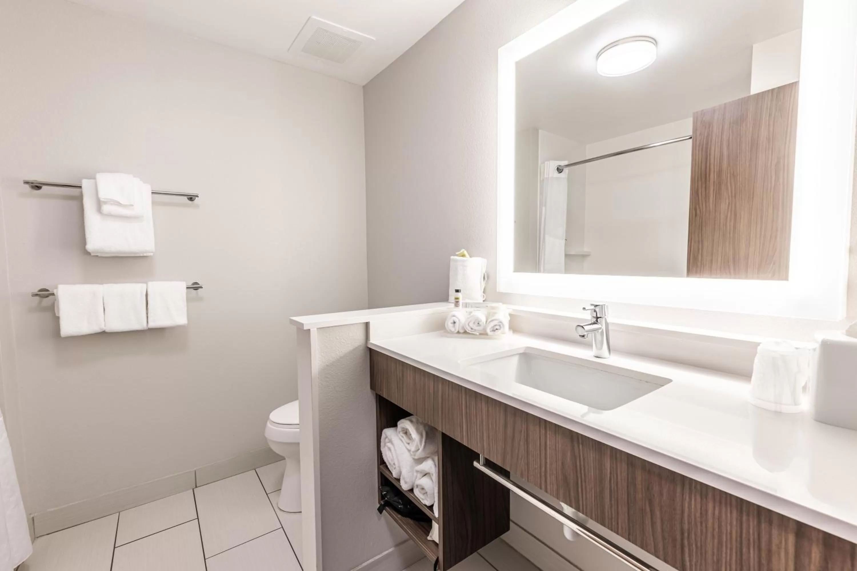Bathroom in Holiday Inn Express & Suites - Rantoul by IHG