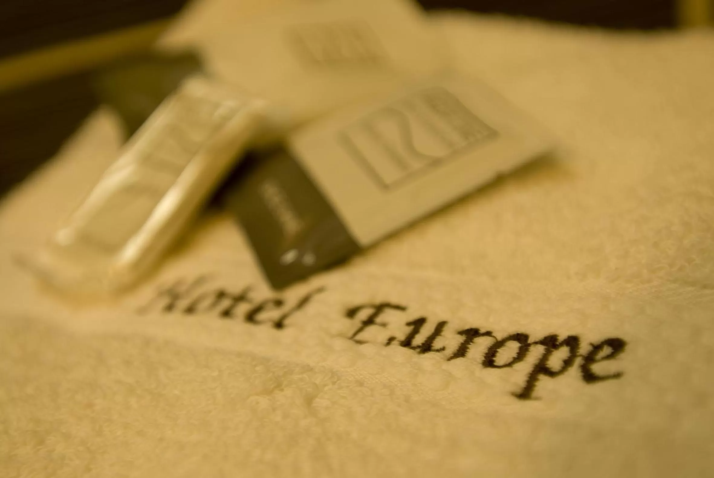 Decorative detail in Hotel Europe