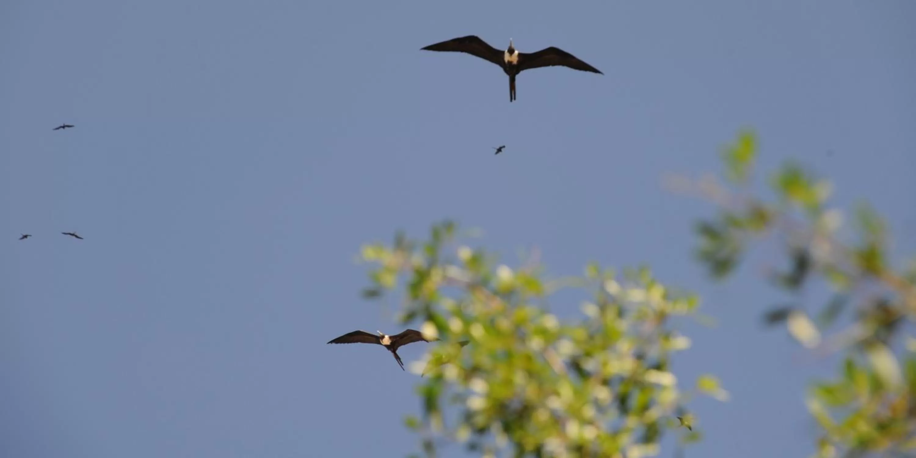 Animals in Felissimo Exclusive Hotel