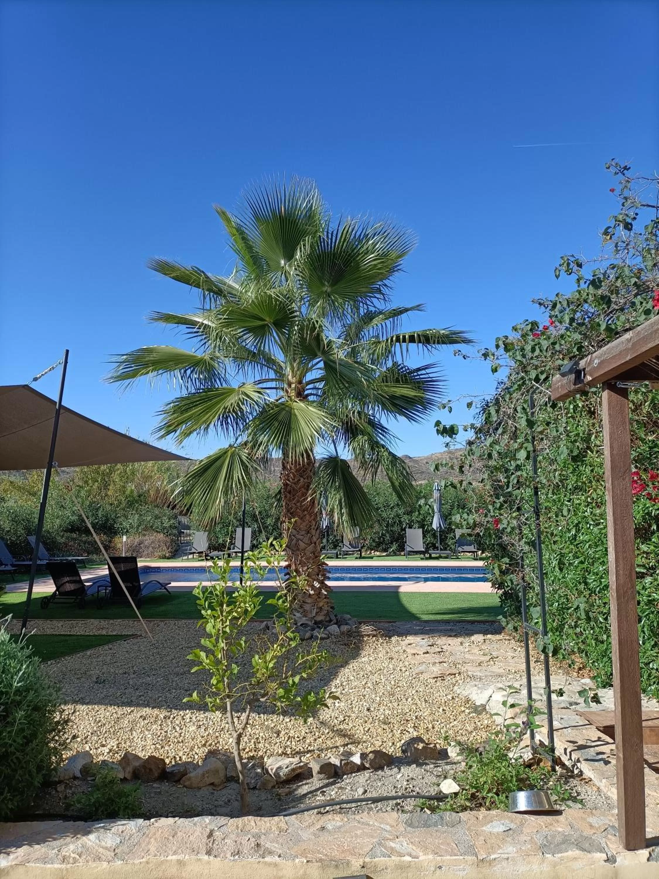 Garden in Mas Solana