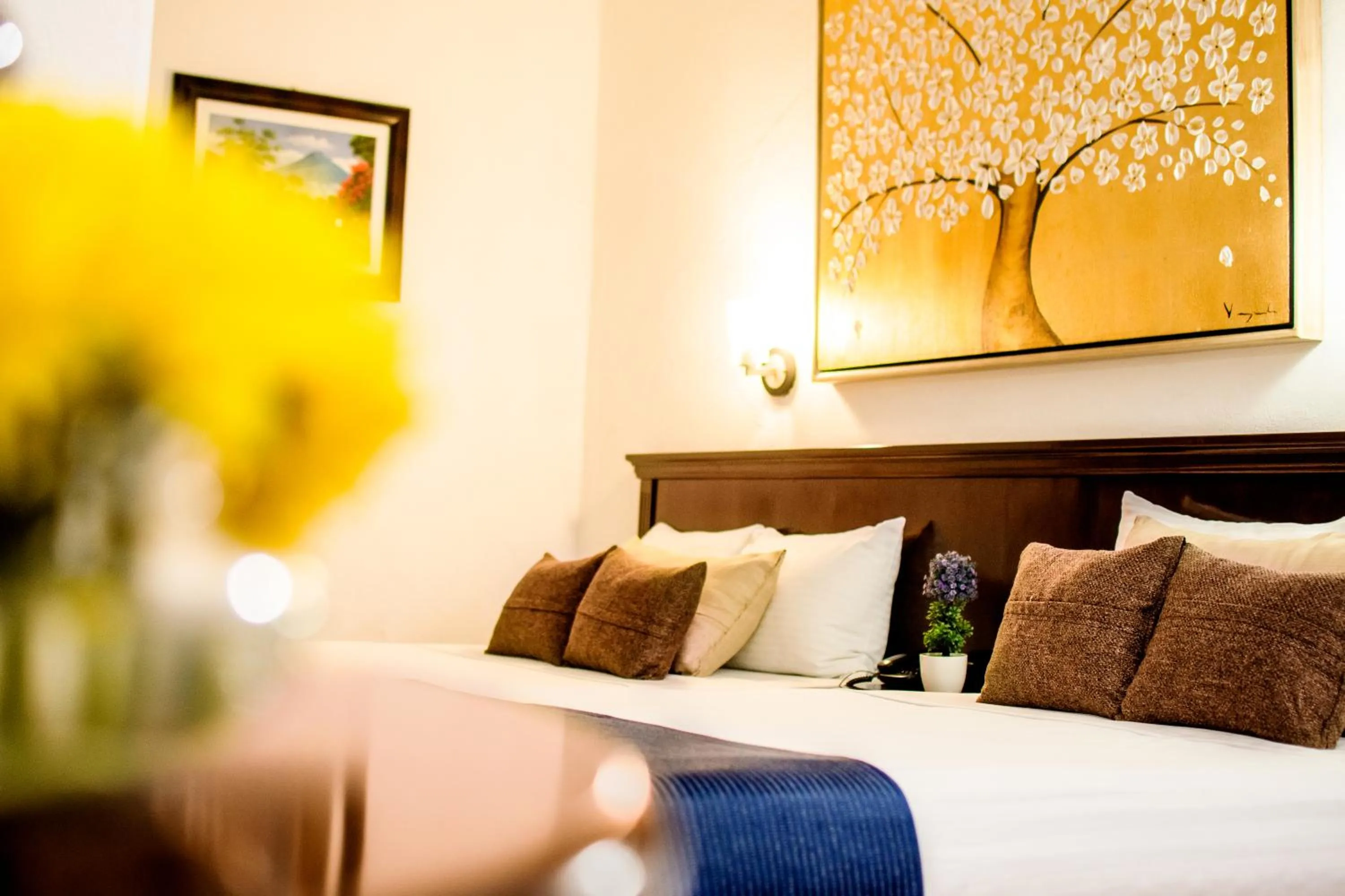 Bed in Hotel del Carmen, en el Centro- DESAYUNO Incluido !