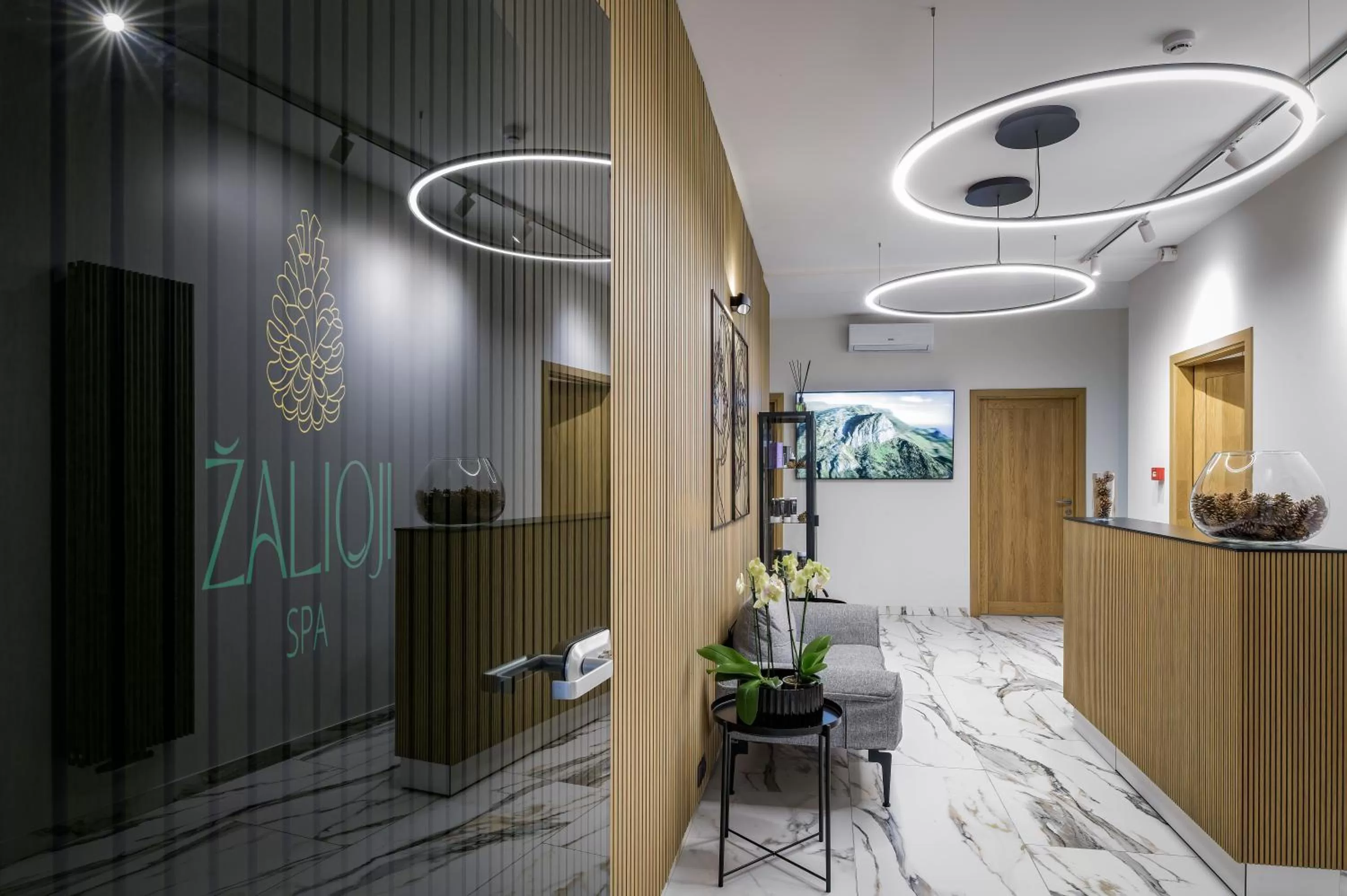 Spa and wellness centre/facilities in Žilvinas Hotel