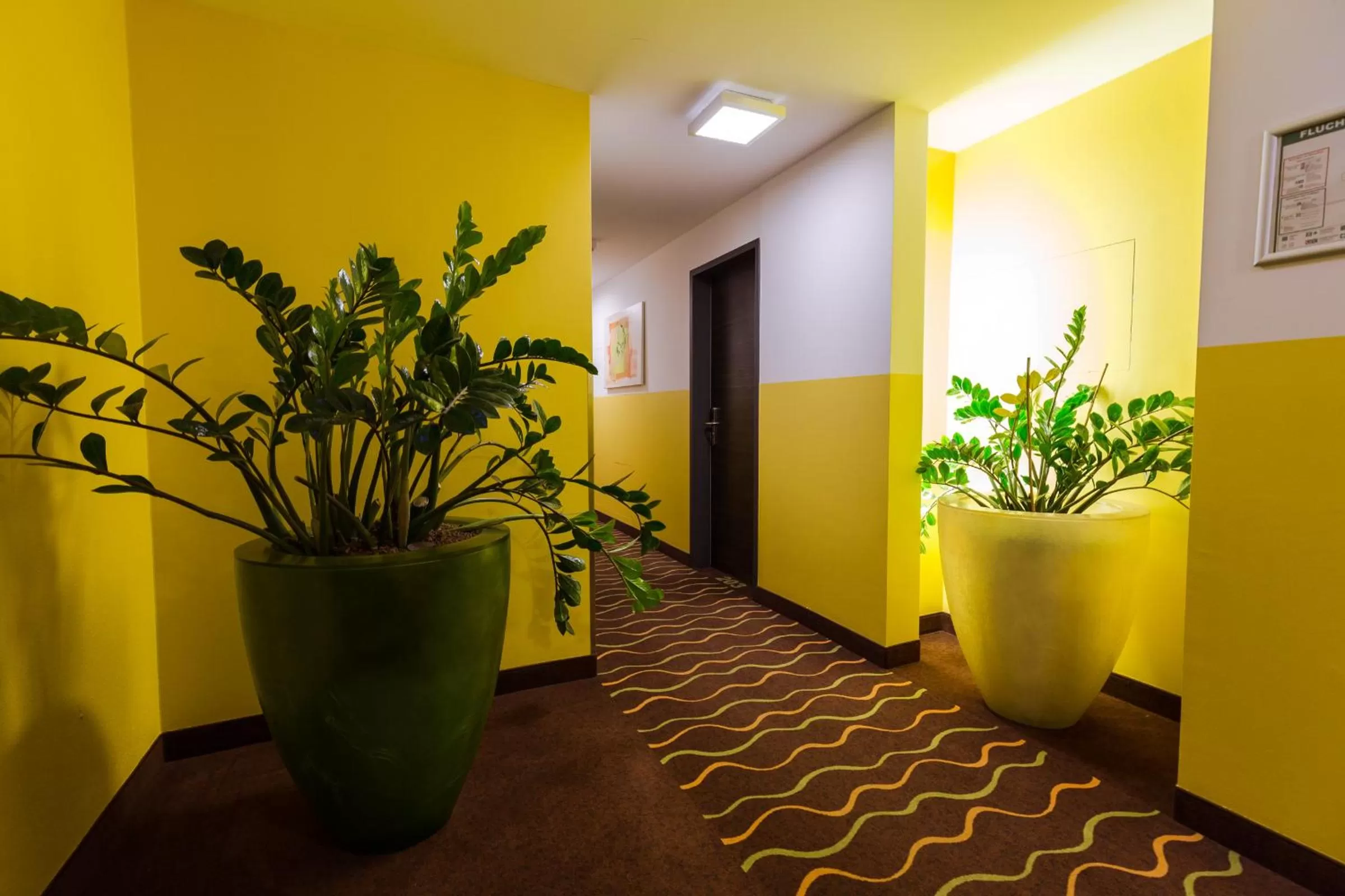 Other in Hotel Arooma