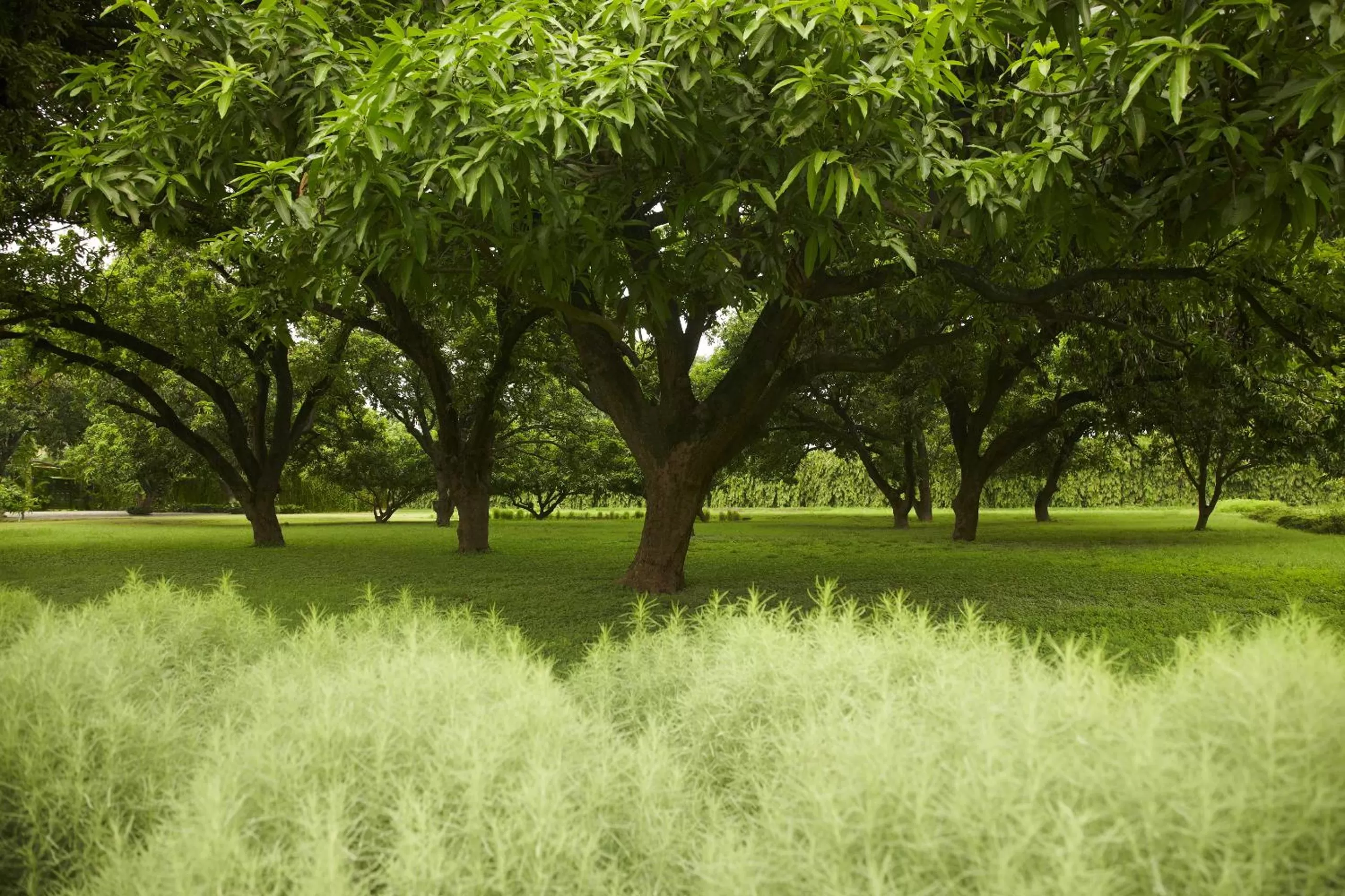On site in Taj Ganges Varanasi