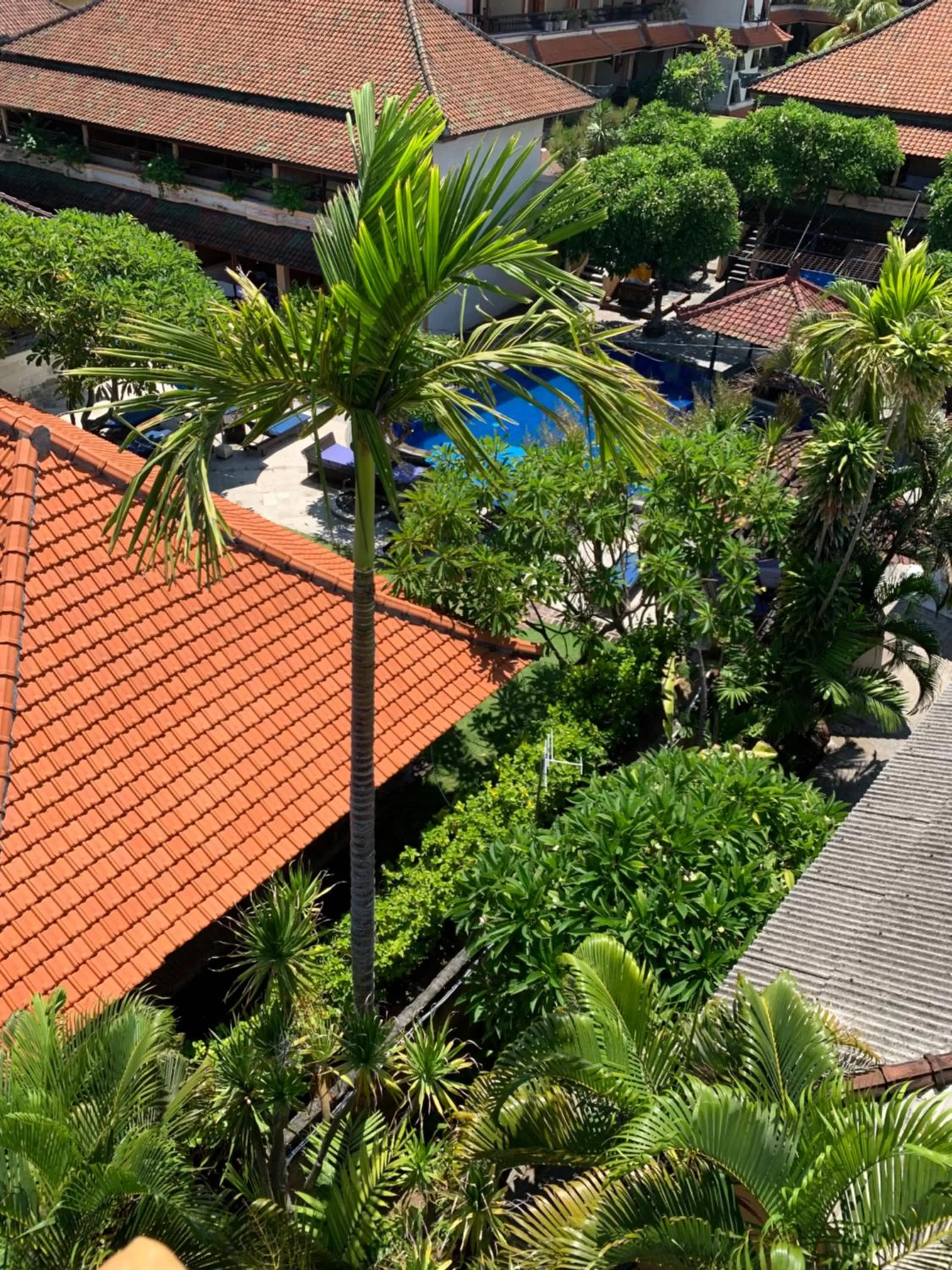 Garden view in Fat Yogi Cottages