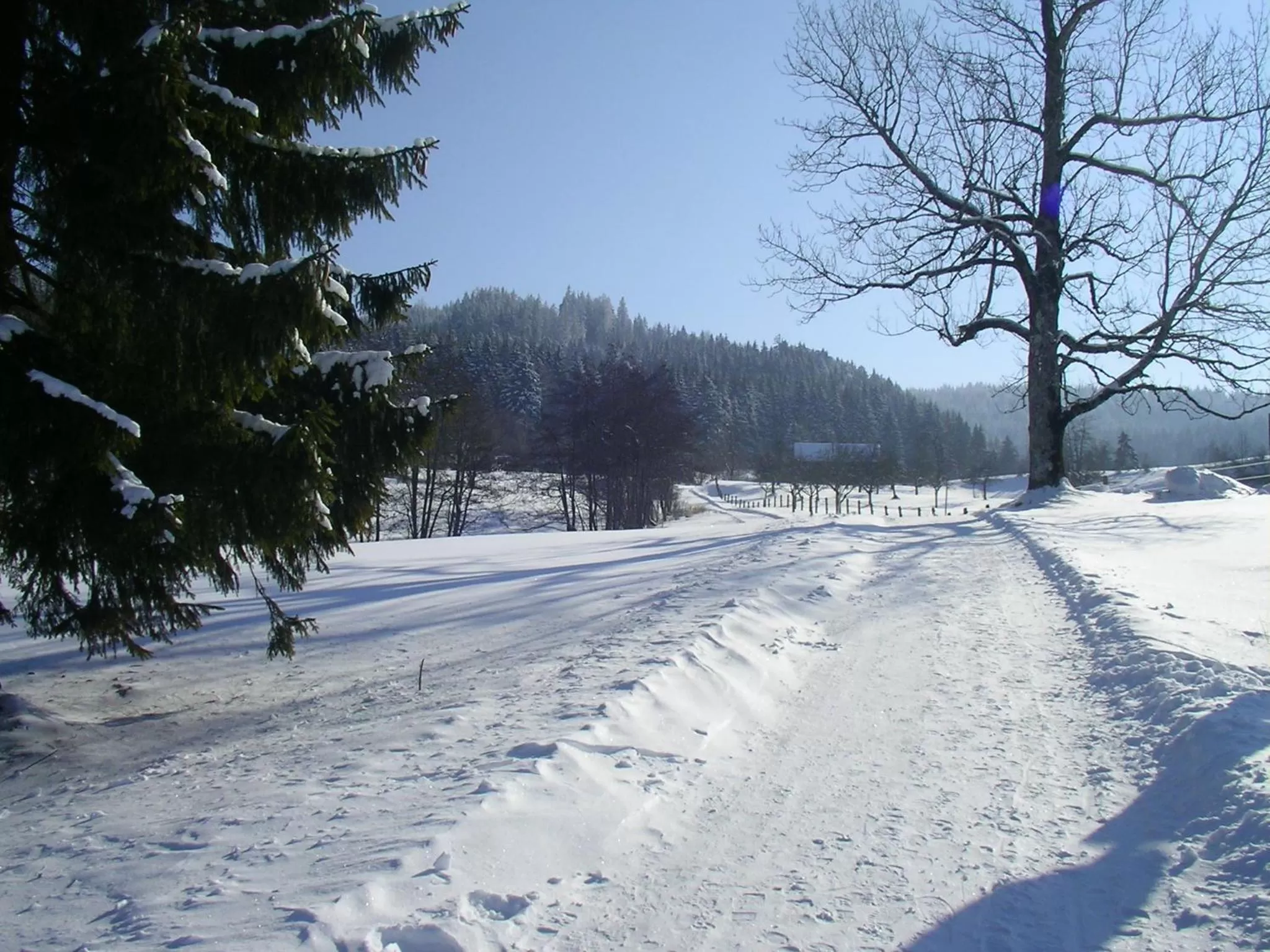 Natural landscape in Das Allgäu