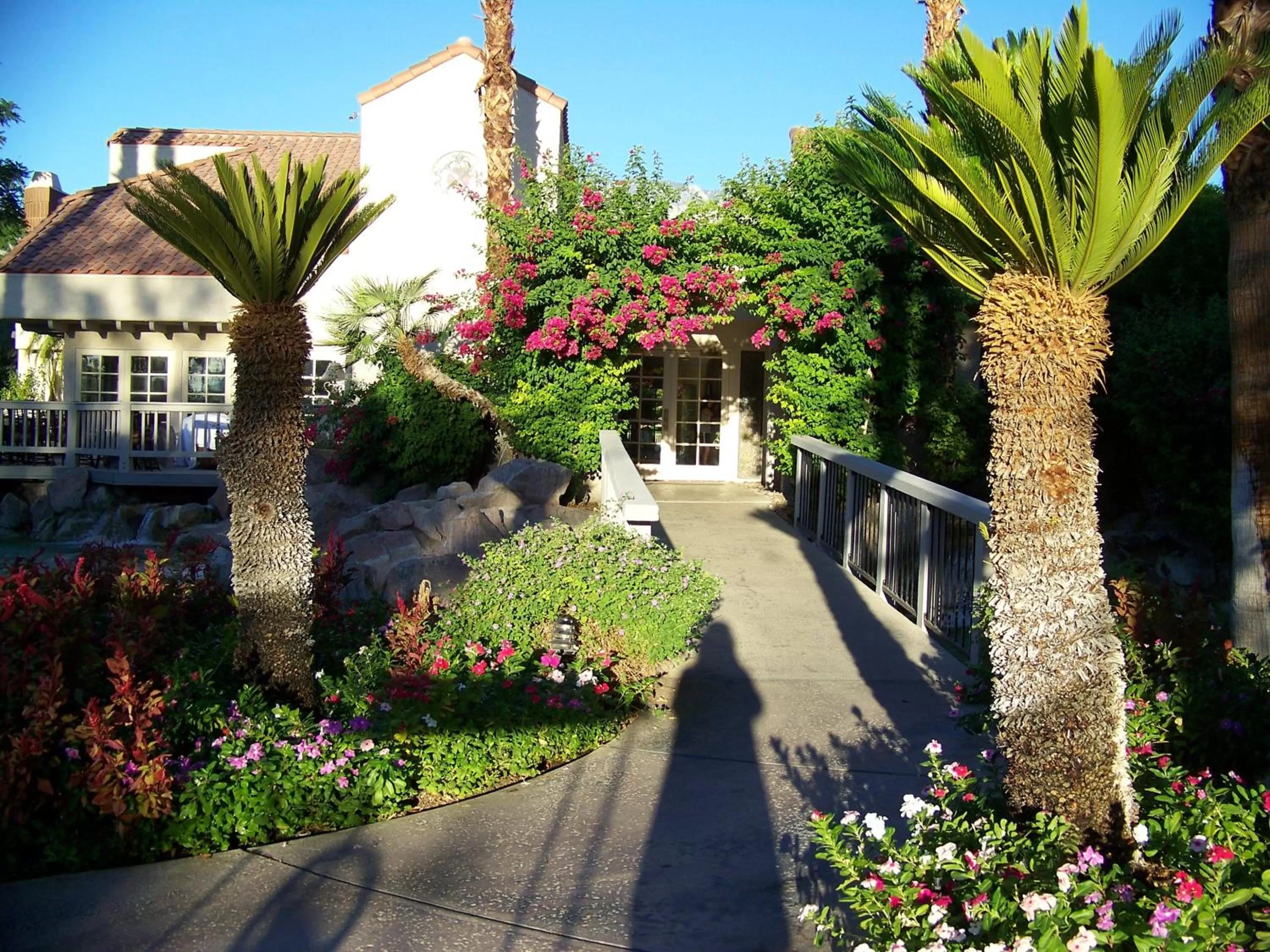 Area and facilities in The Oasis Resort