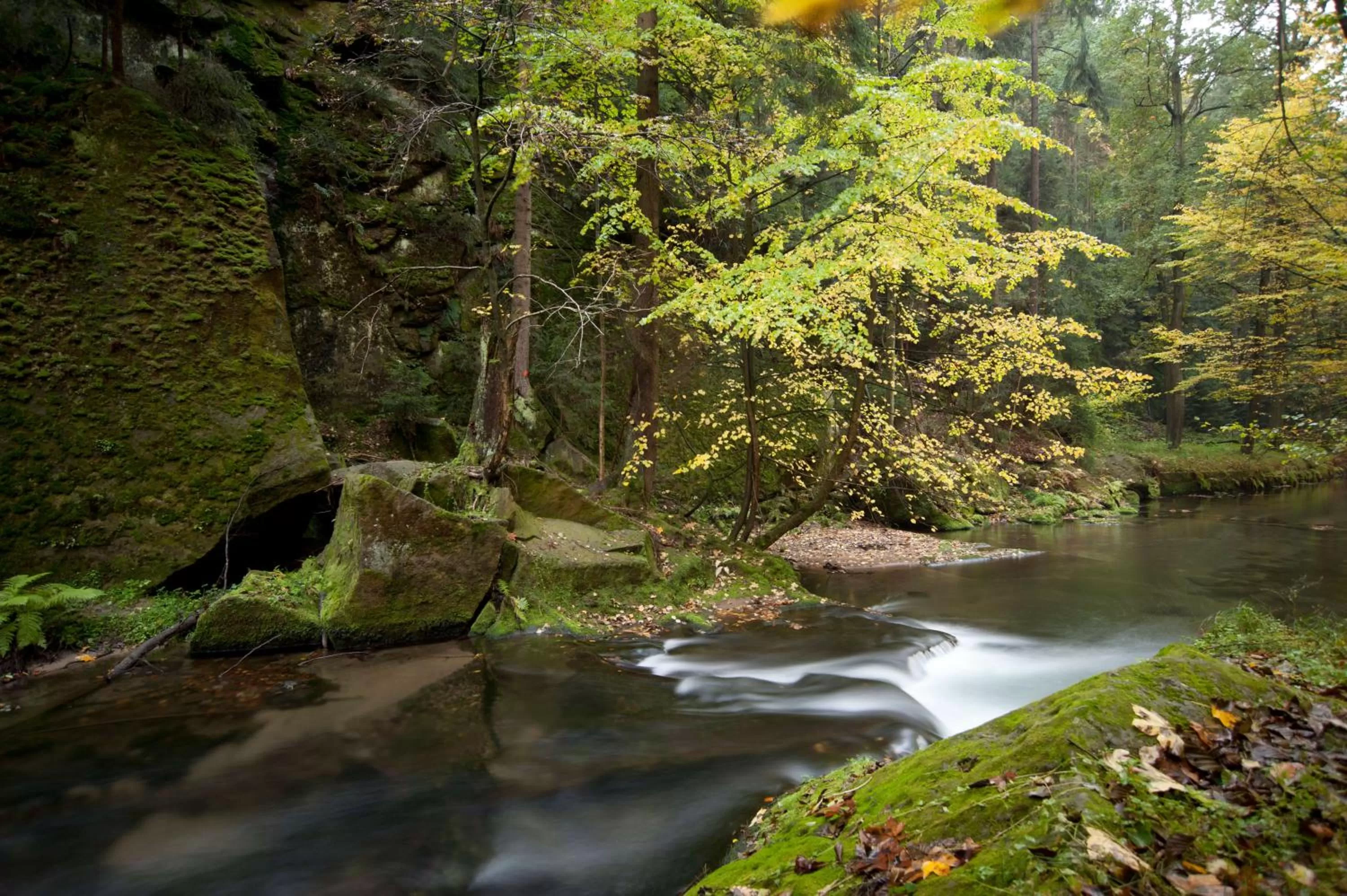 Natural landscape in QUARTIER 5 Hotel & Restaurant, Sächsische Schweiz