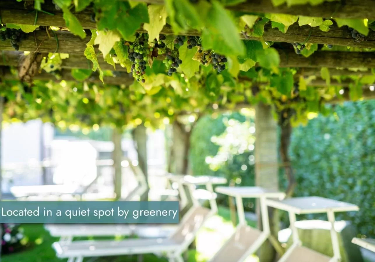 Garden in Ascona Lodge, Pool & Garden Retreat